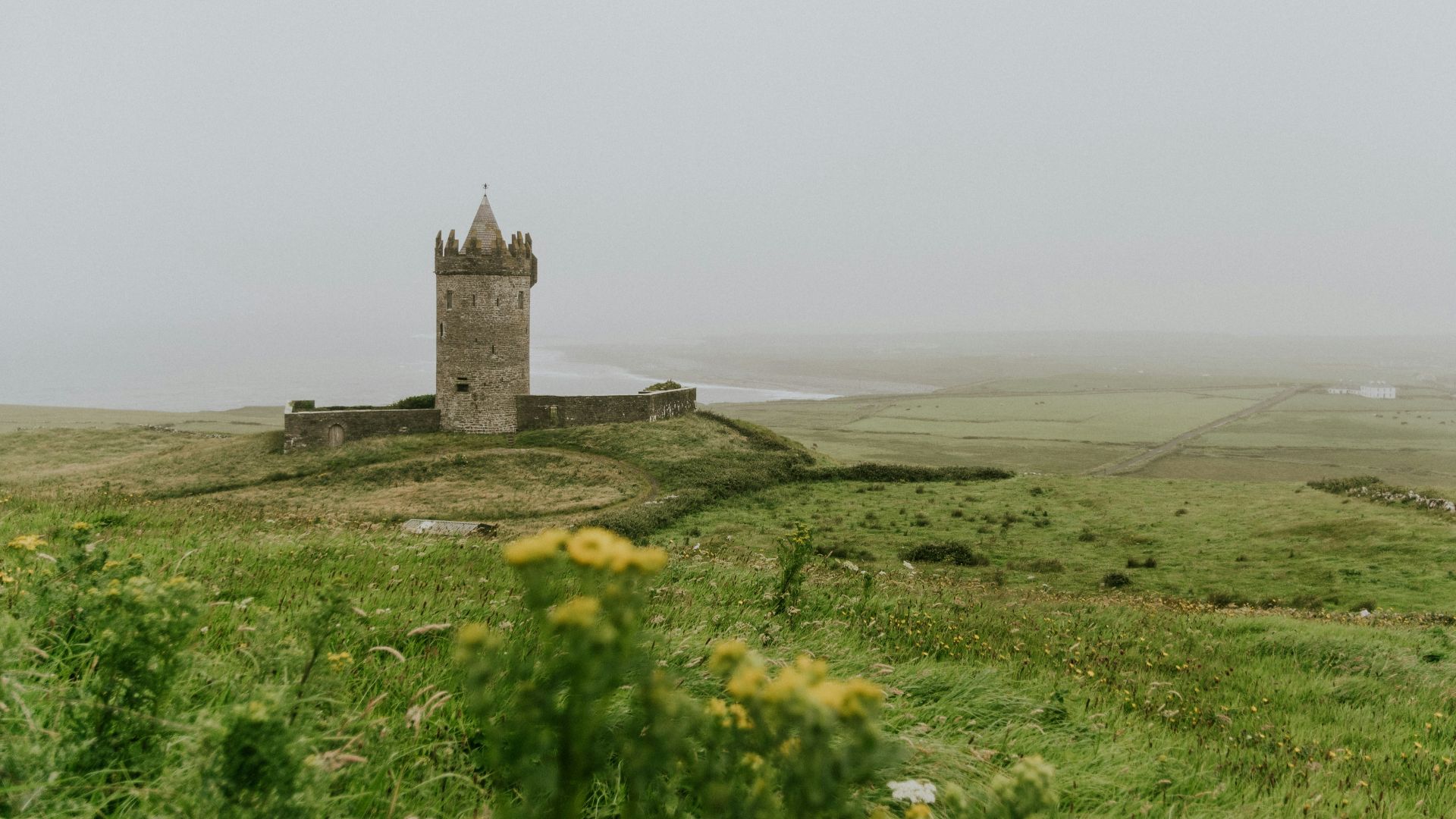 gray concrete structure surrounded by green trees