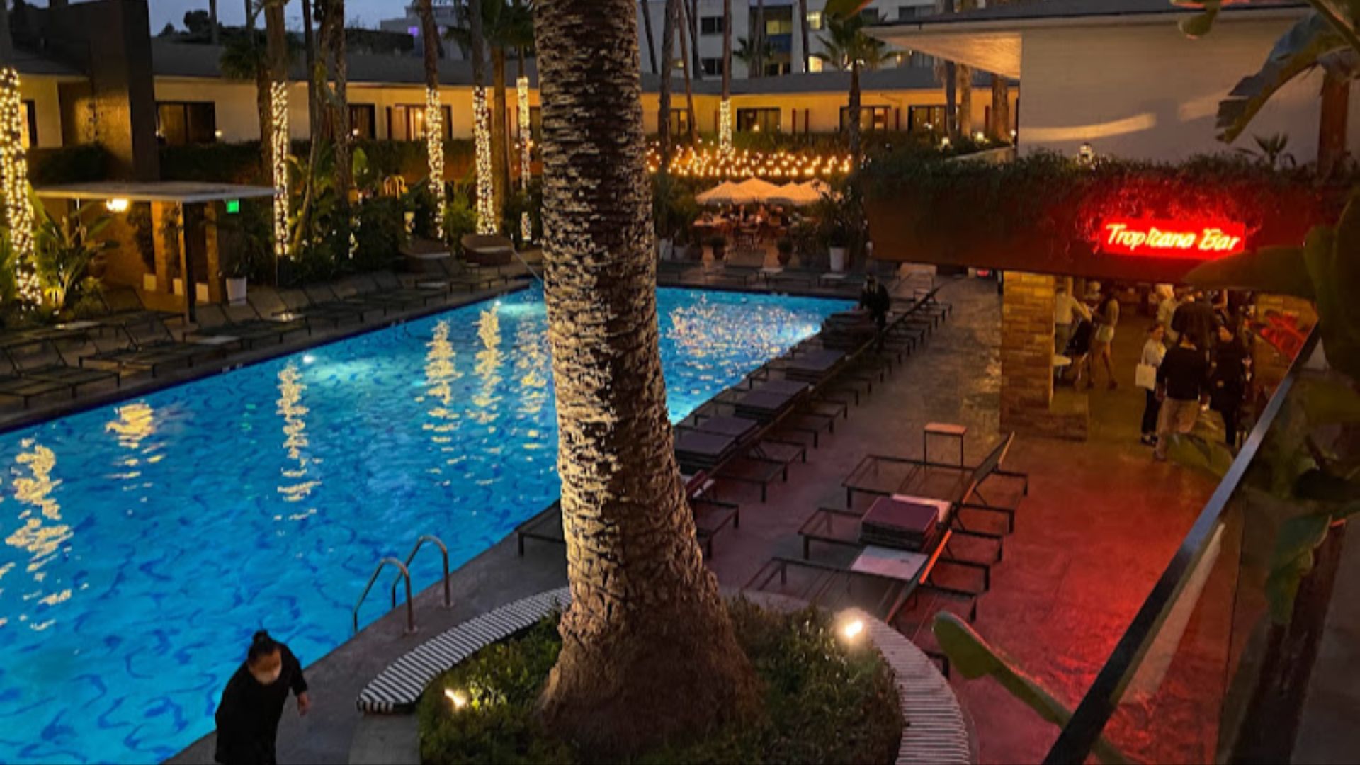 File:Tropicana Bar at Hotel Roosevelt.jpg