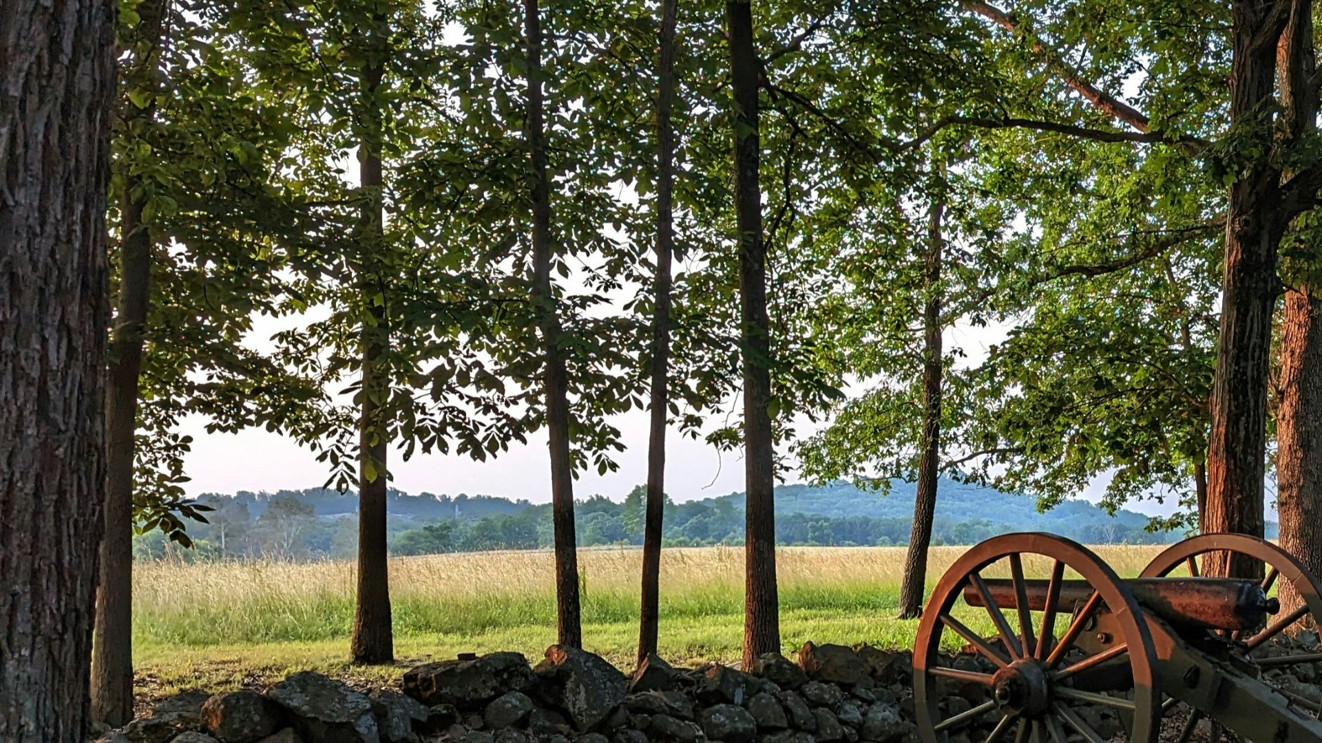 an old wooden wagon sitting in the middle of a forest