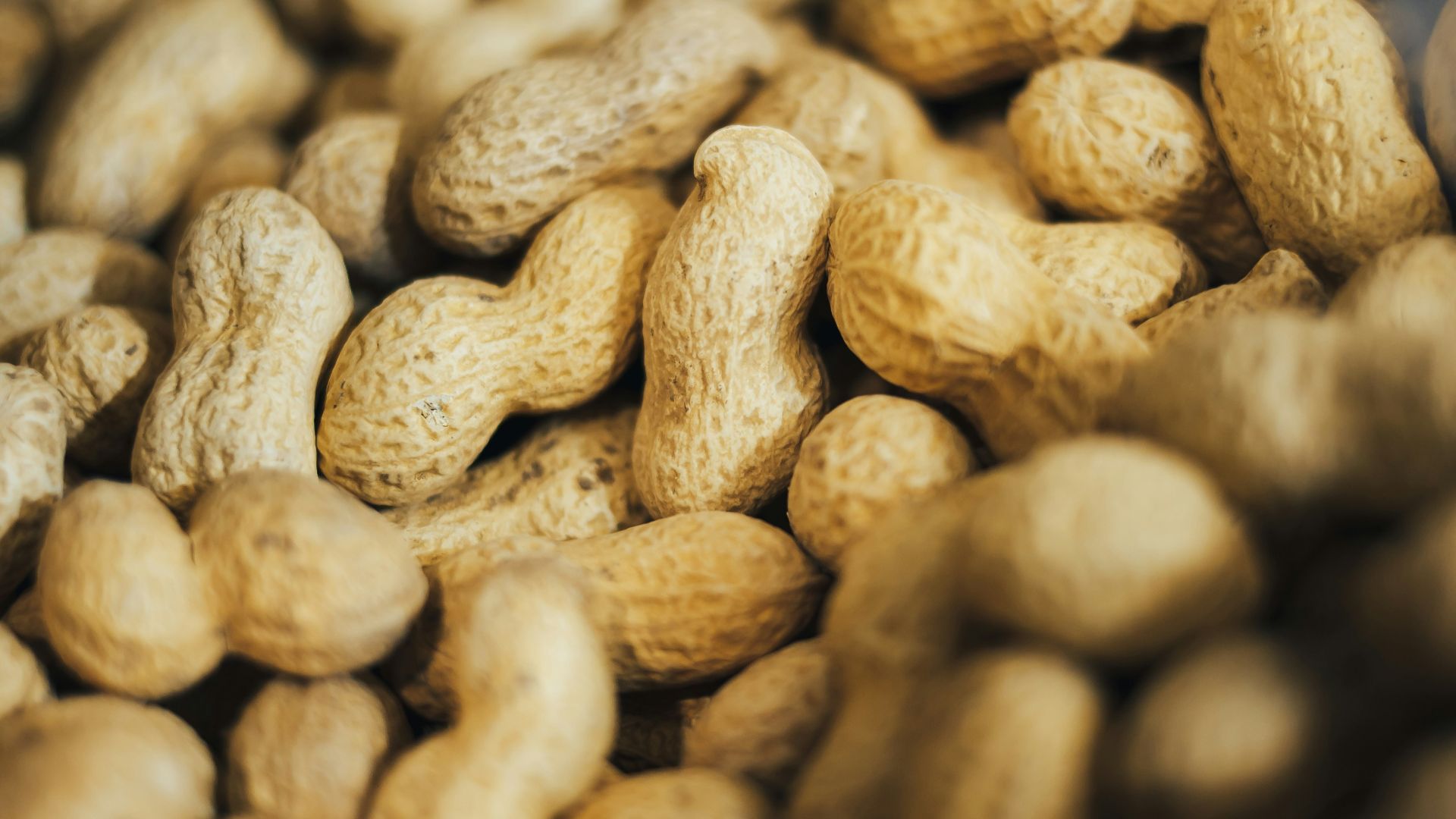 pile of peanuts
