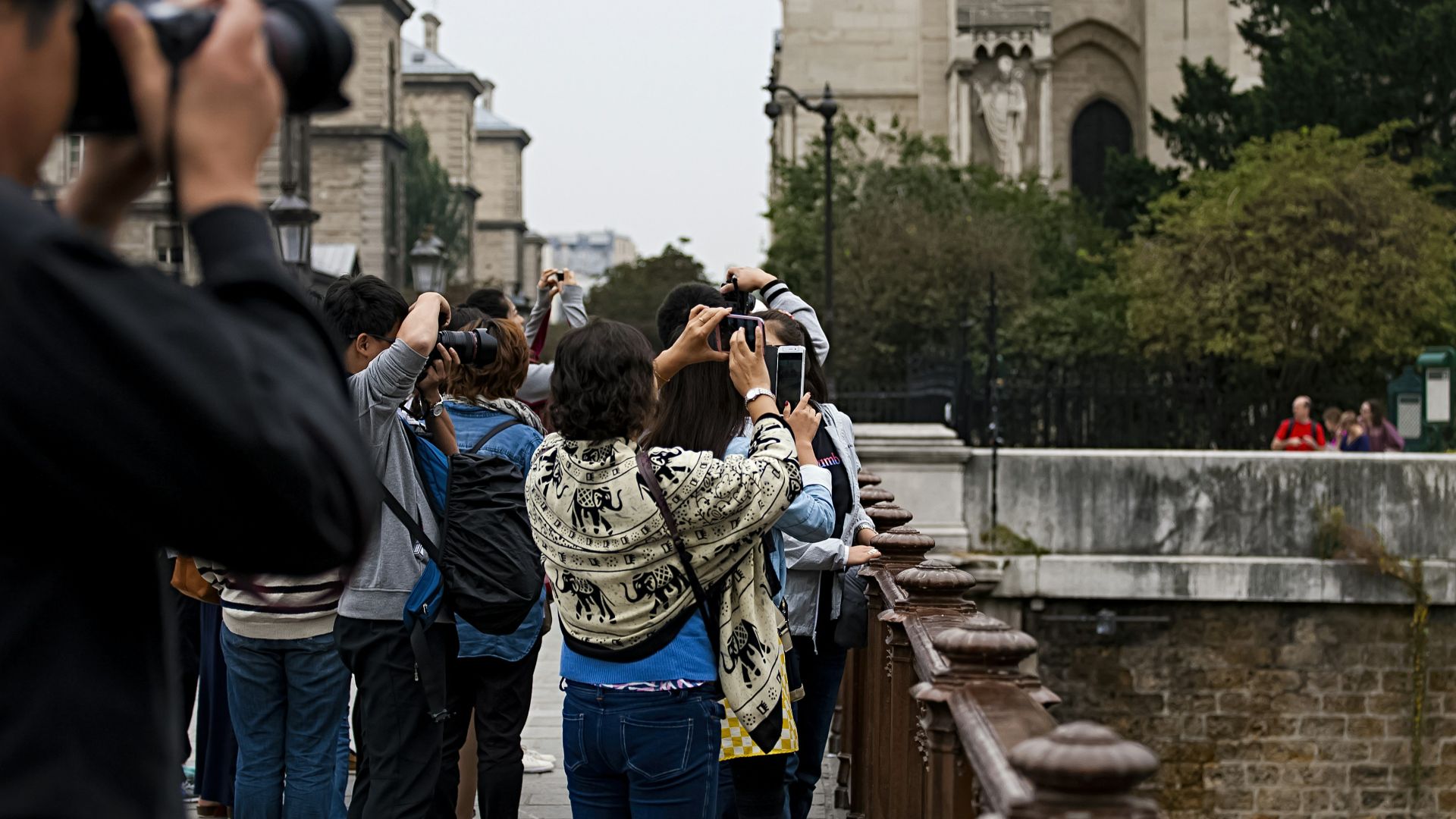 people taking photo near green trees