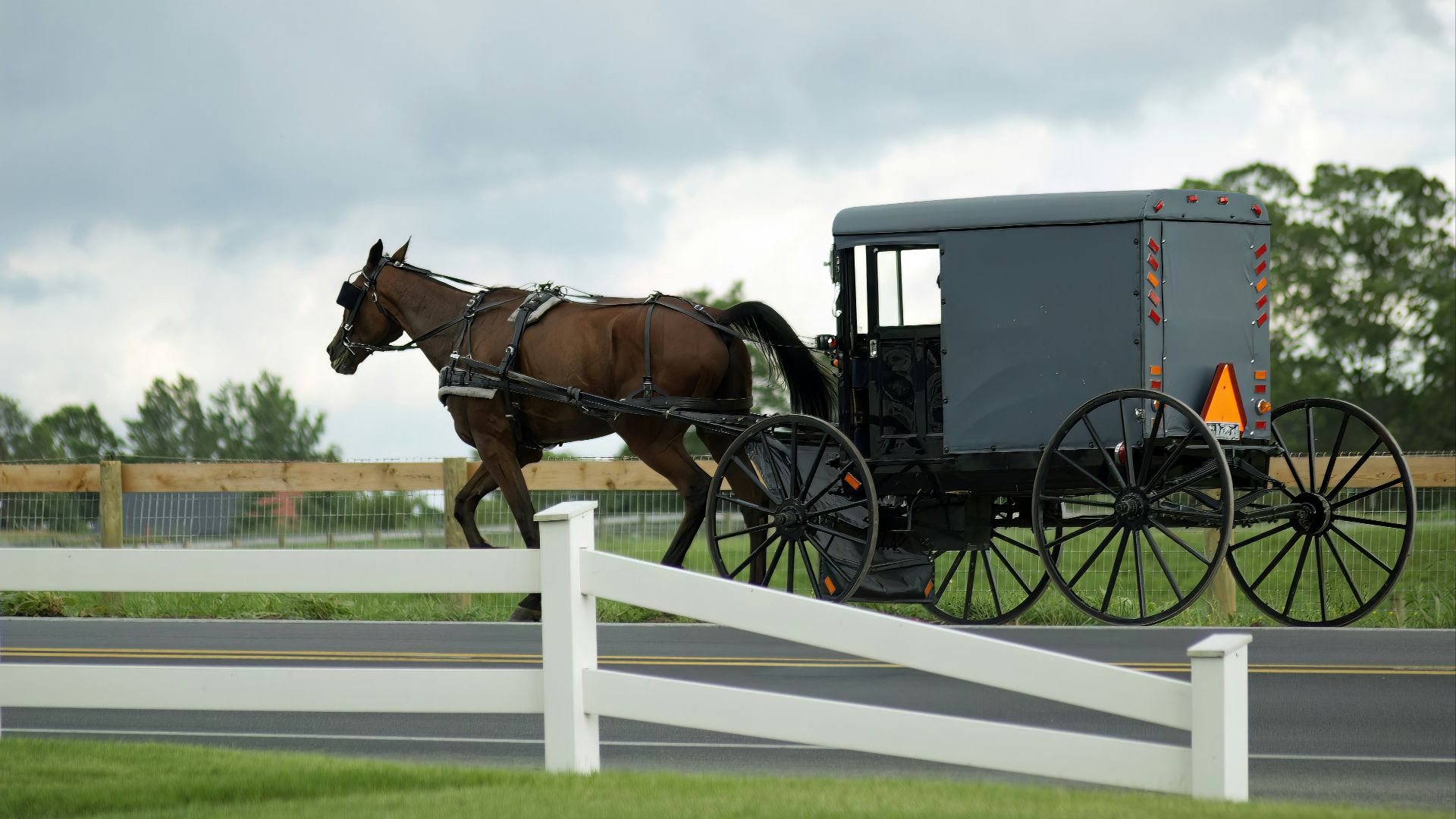 a horse pulling a carriage