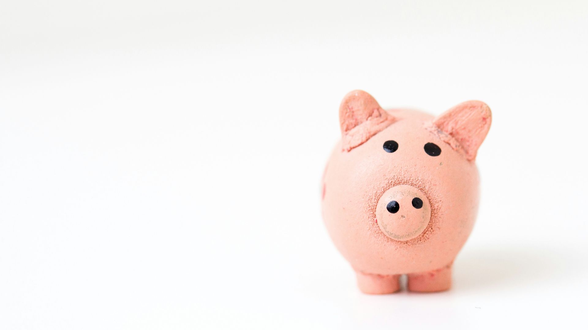 pink pig figurine on white surface