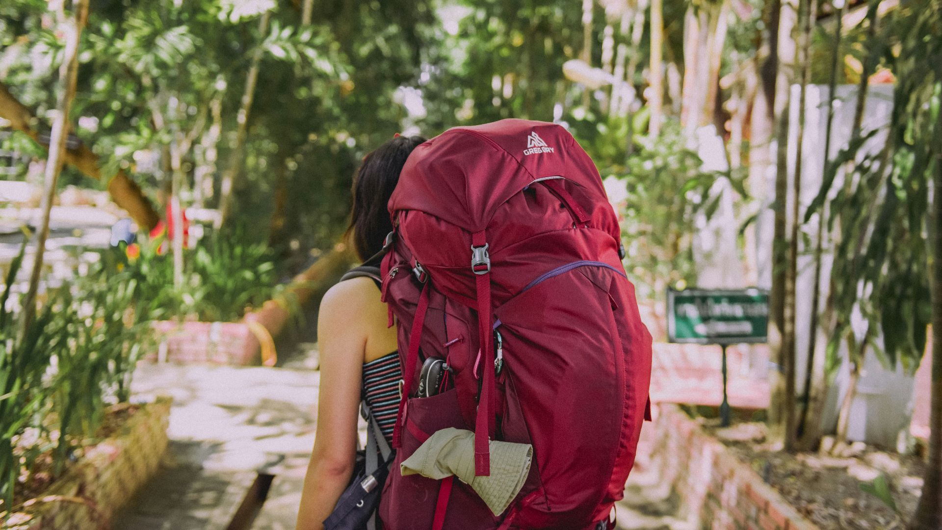 person with red trekker backpack standing on pathway surrounded with tall and green trees during daytime