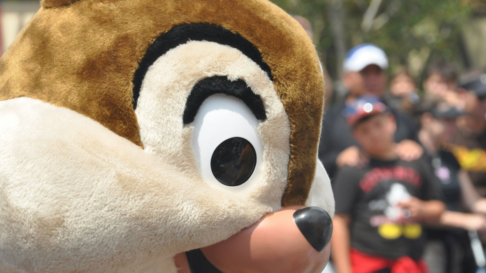 brown and white dog plush toy