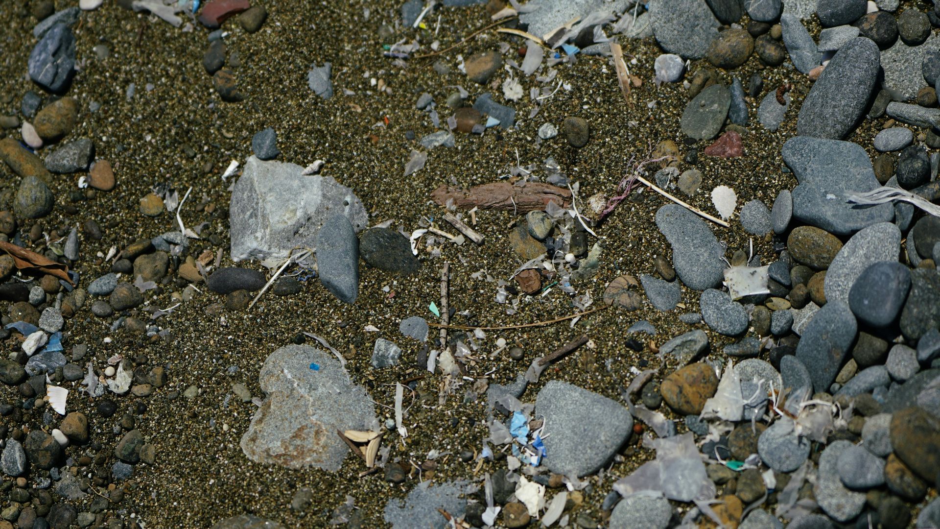 a close-up of a rocky area
