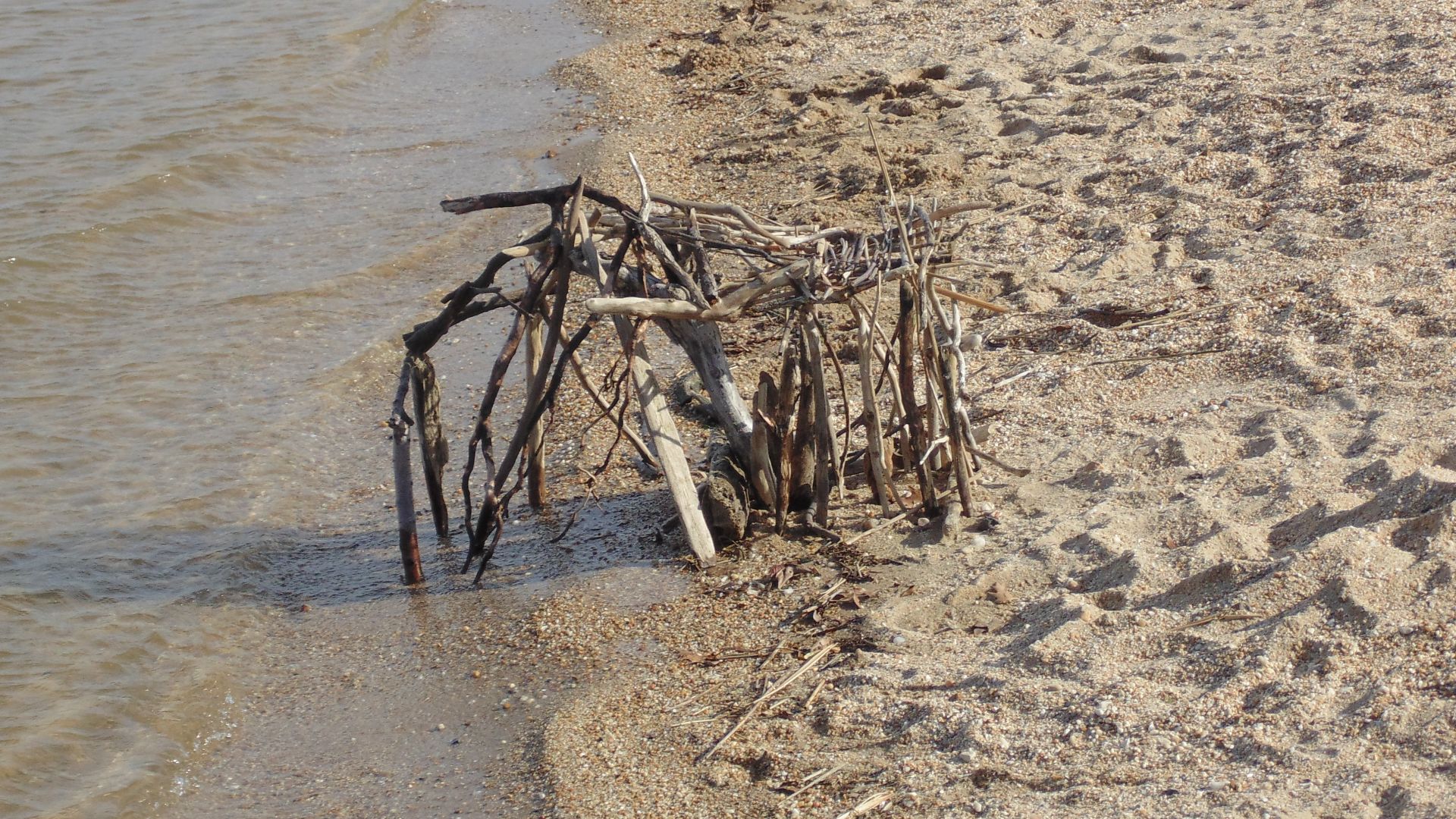 File:Photo by Linda Cole (13928499497).jpg