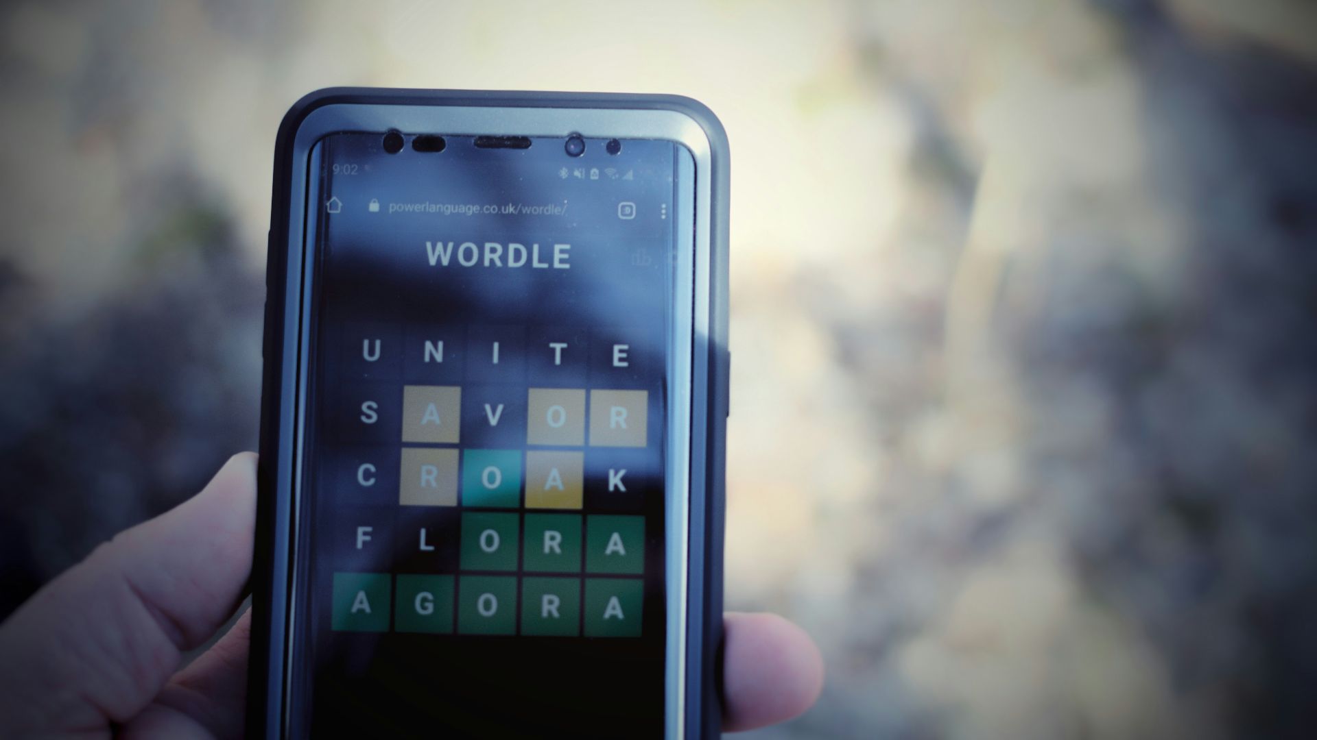 a person holding a cell phone