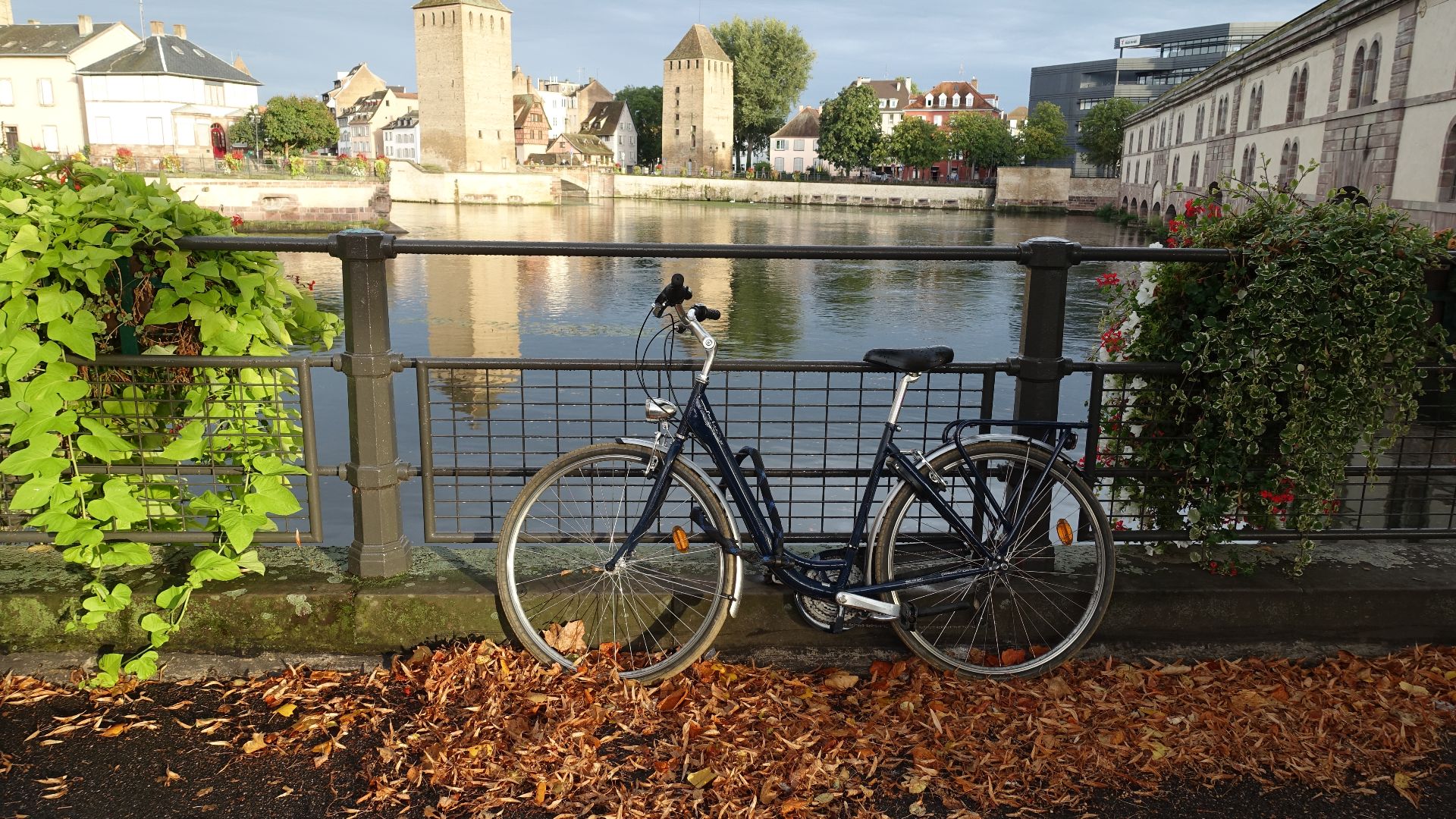 File:Bike @ Strasbourg (45468604822).jpg