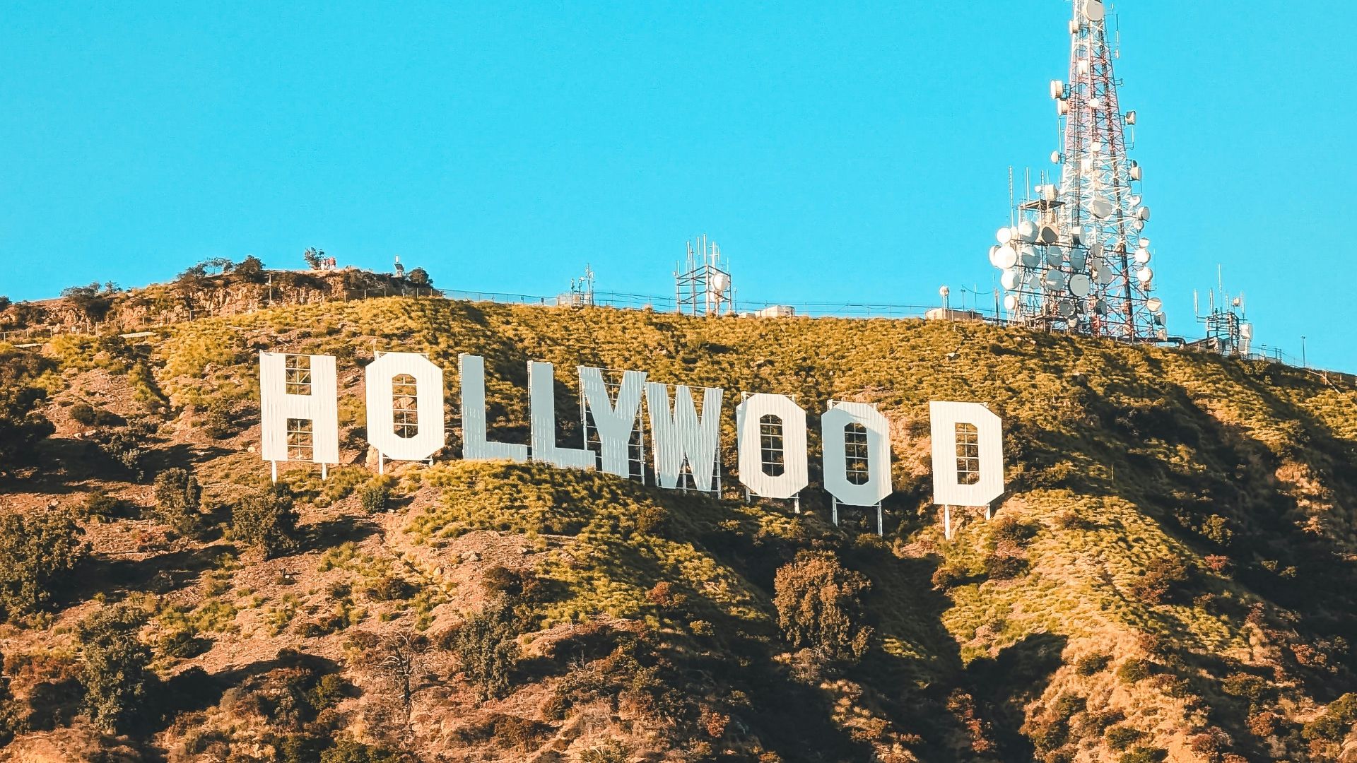 the hollywood sign on top of a hill