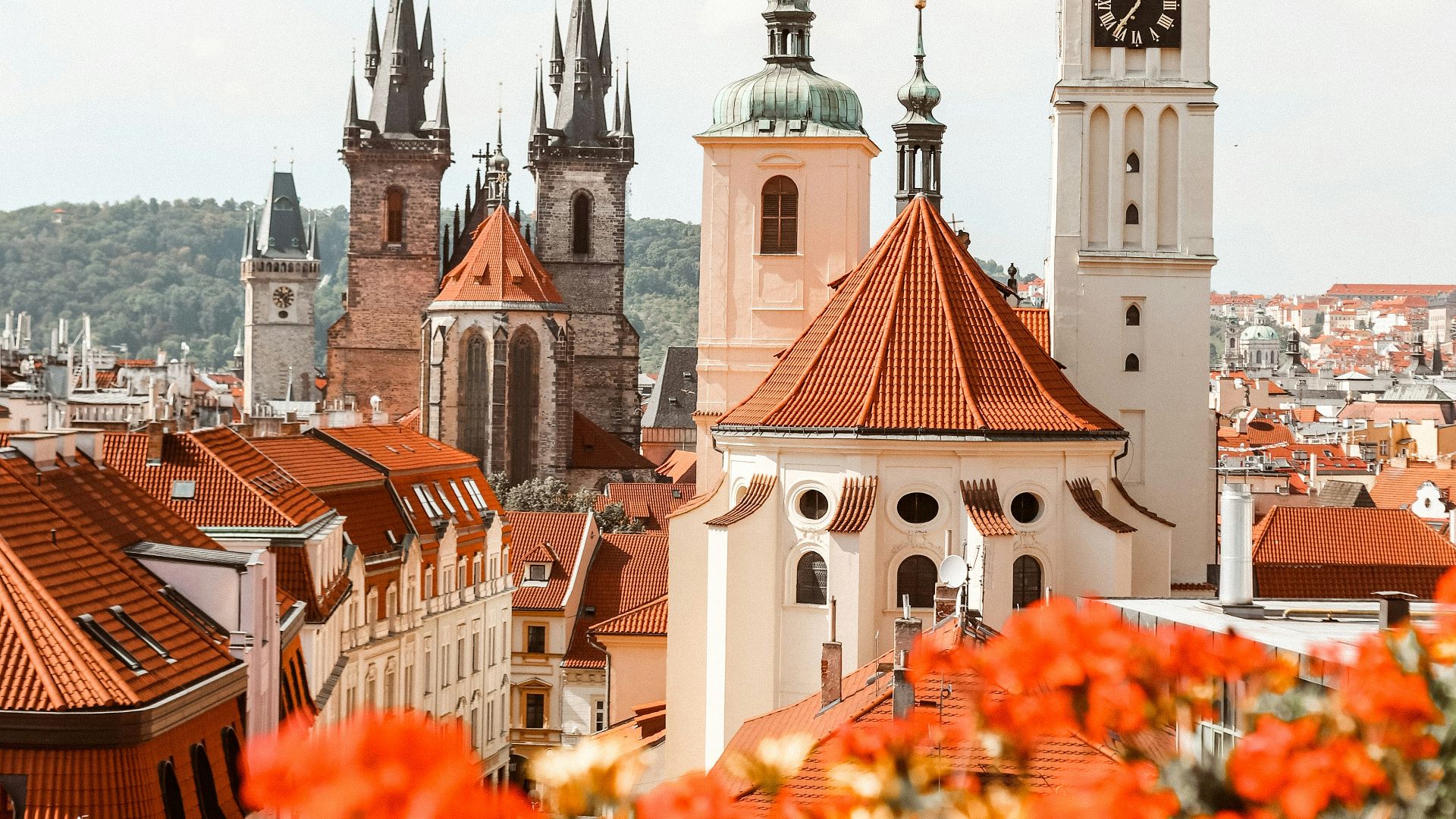 brown and white building during daytime