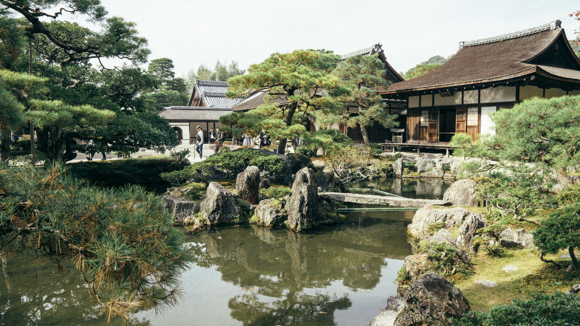 lake and houses during daytime
