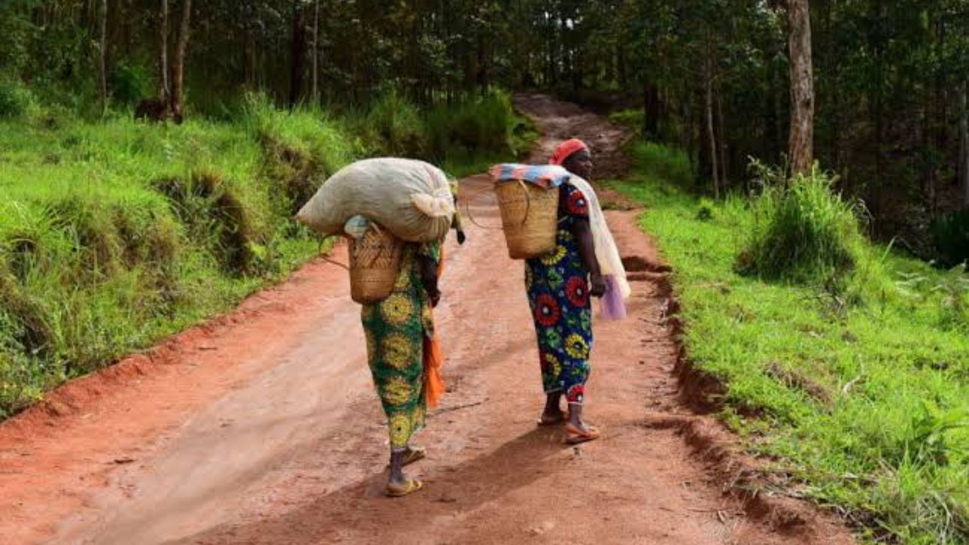 File:Women returning from farm work in Nigeria.jpg
