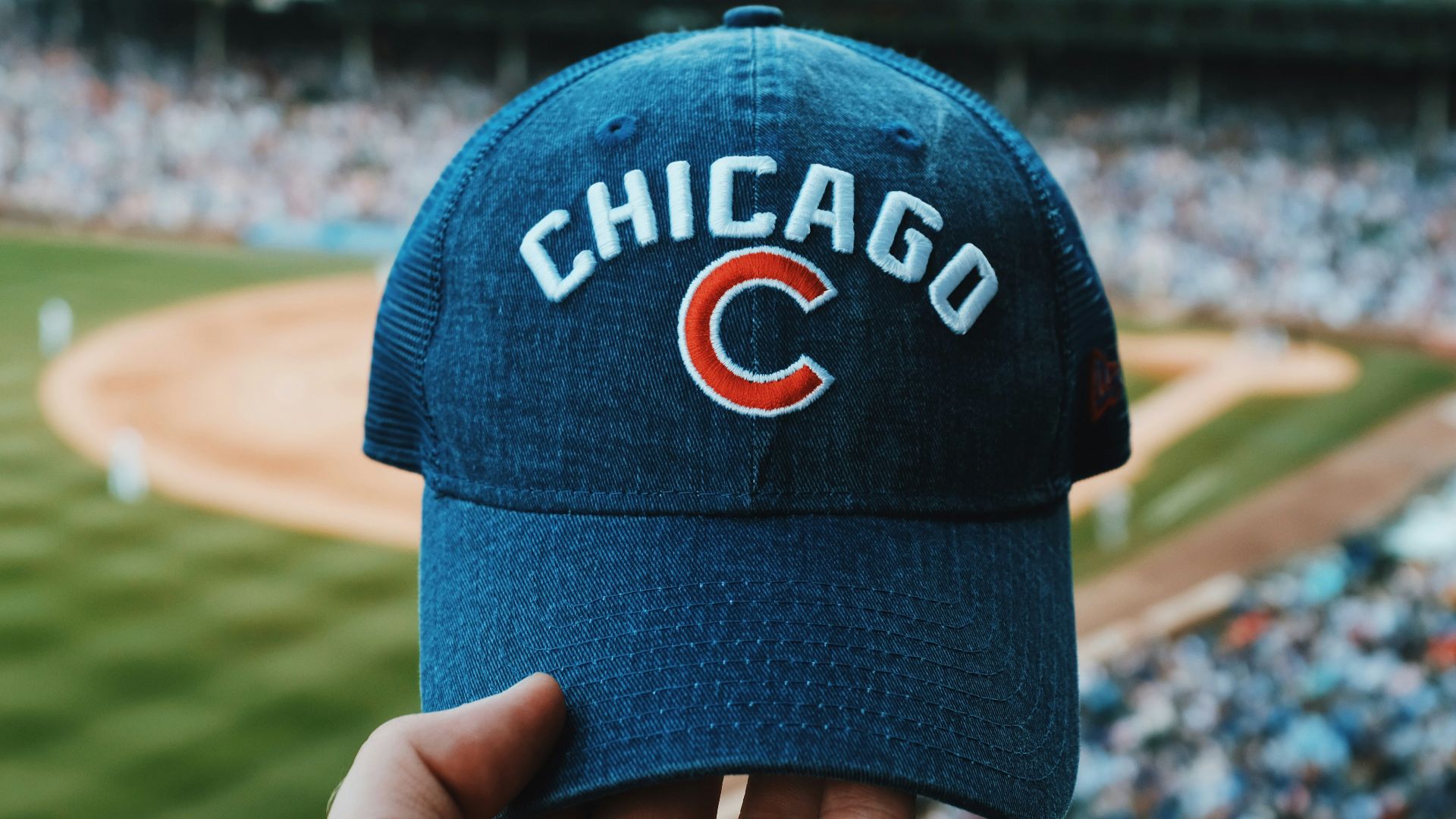 person holding blue Chicago Cubs cap
