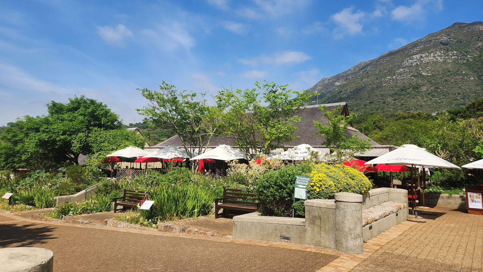 File:Kirstenbosch National Botanical Garden 2024 07.jpg
