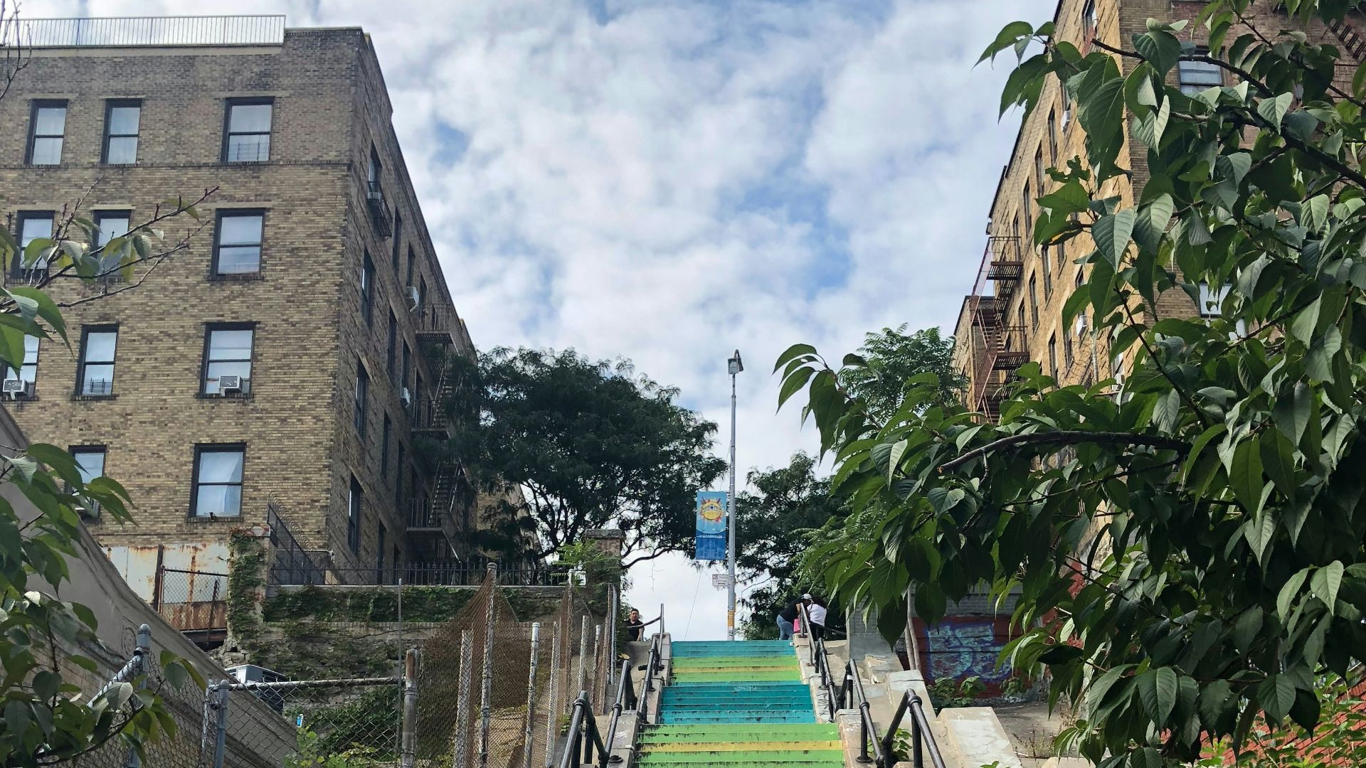 teal and green staircase near plant