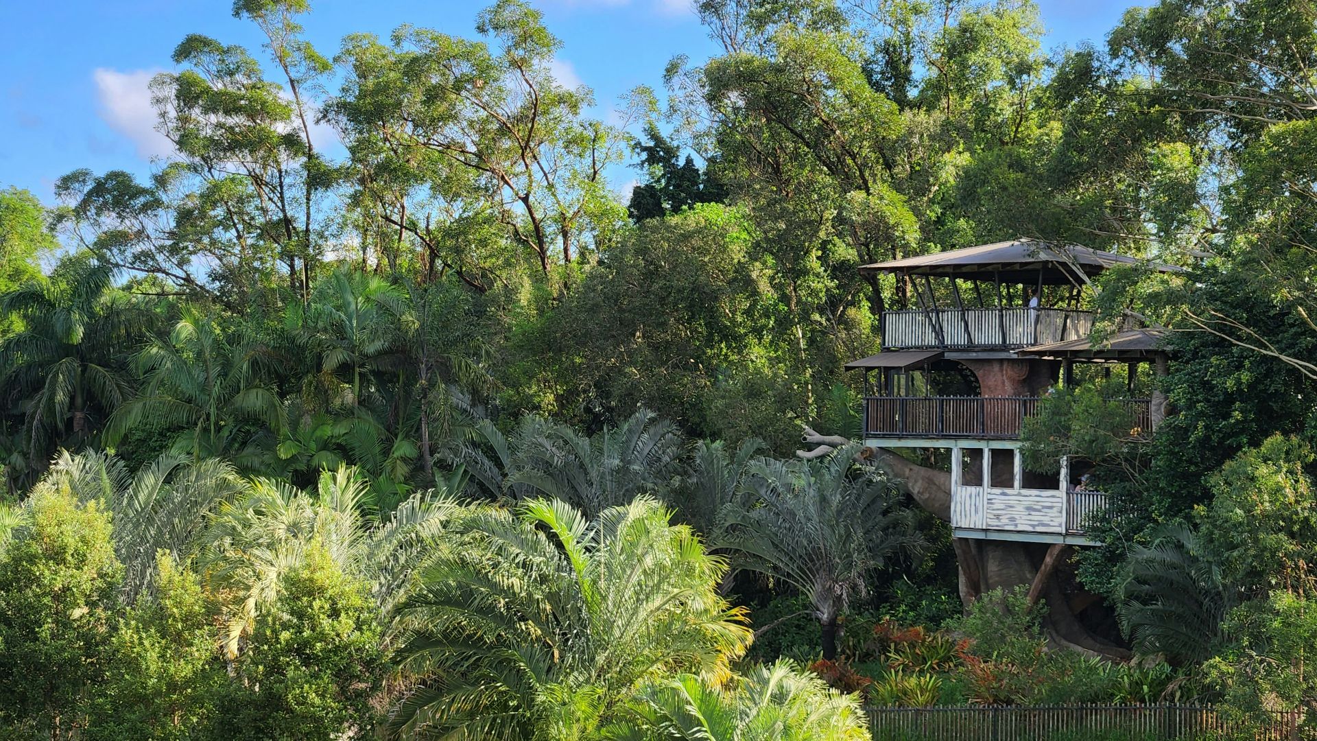 a tree house in the middle of a forest