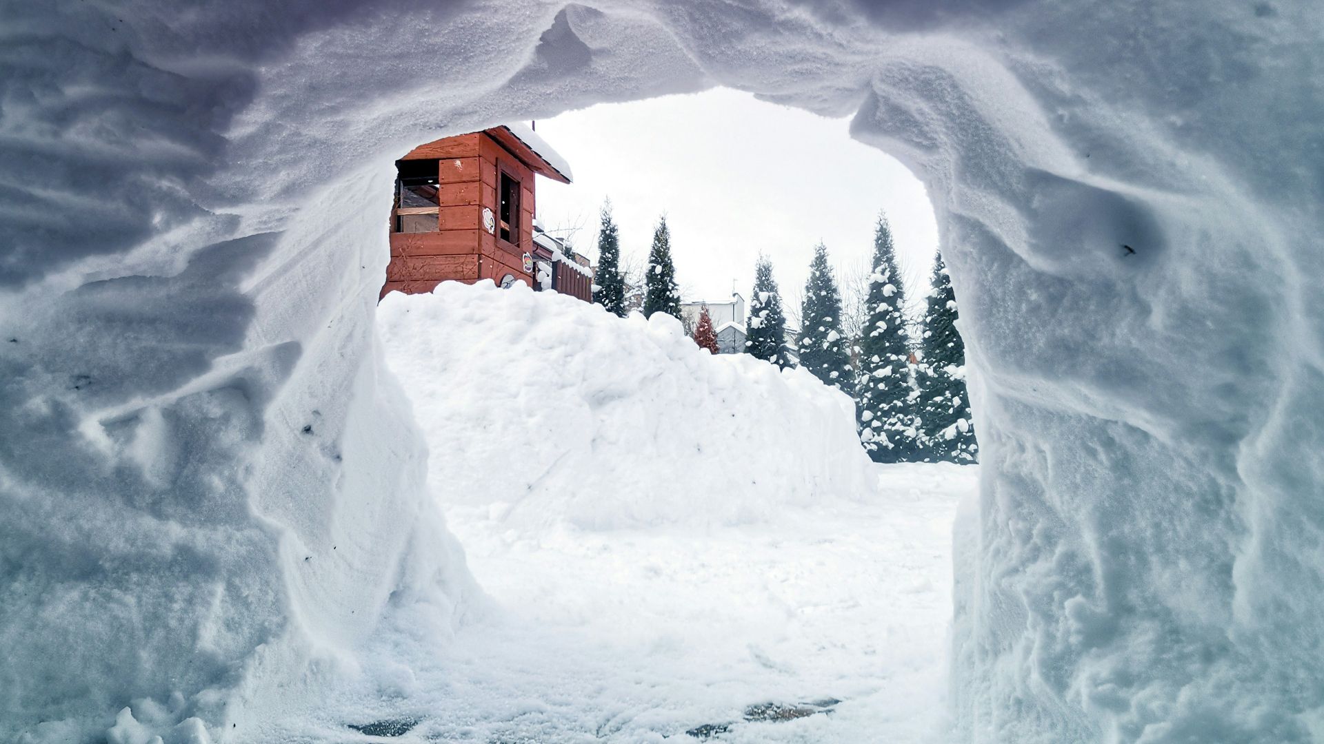 brown wooden house in snow covered ground