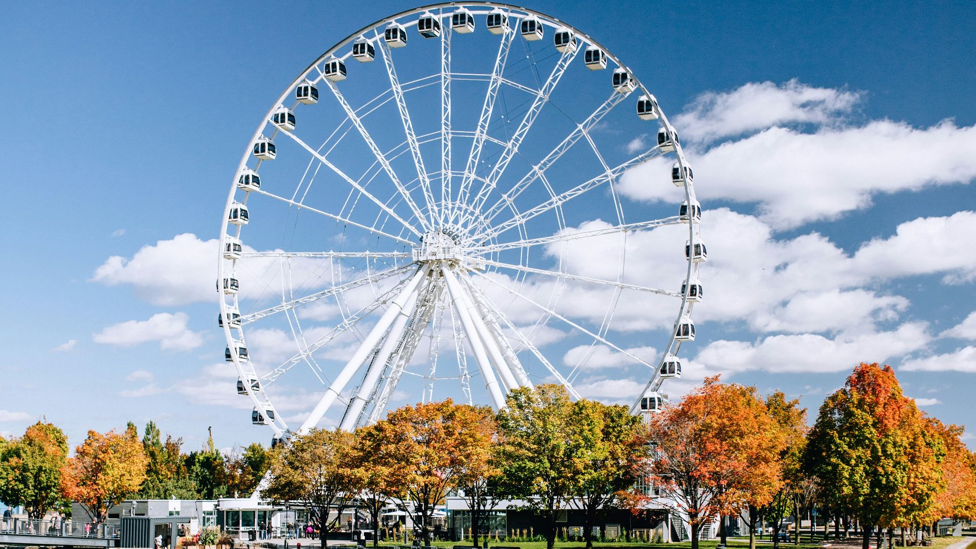 Ferris wheel beside trees near body of water