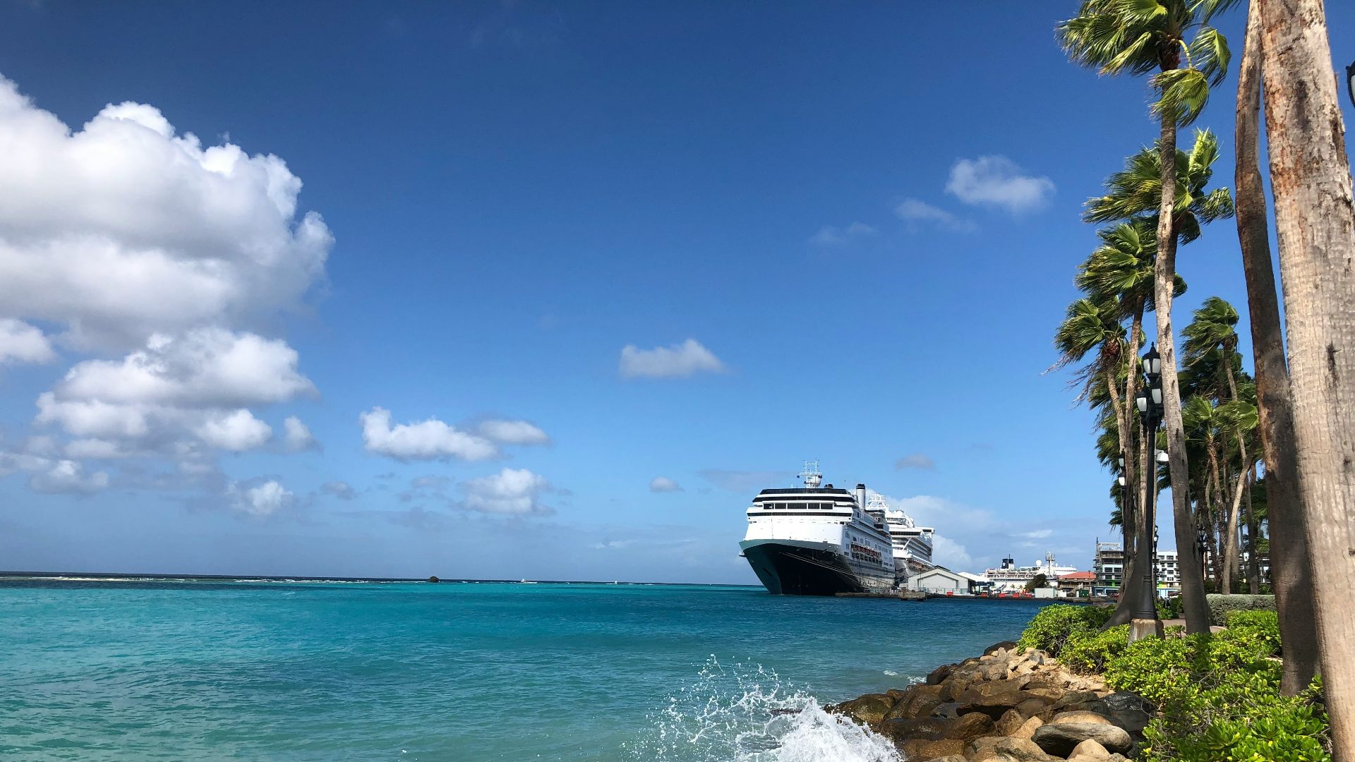white and black boat on sea during daytime