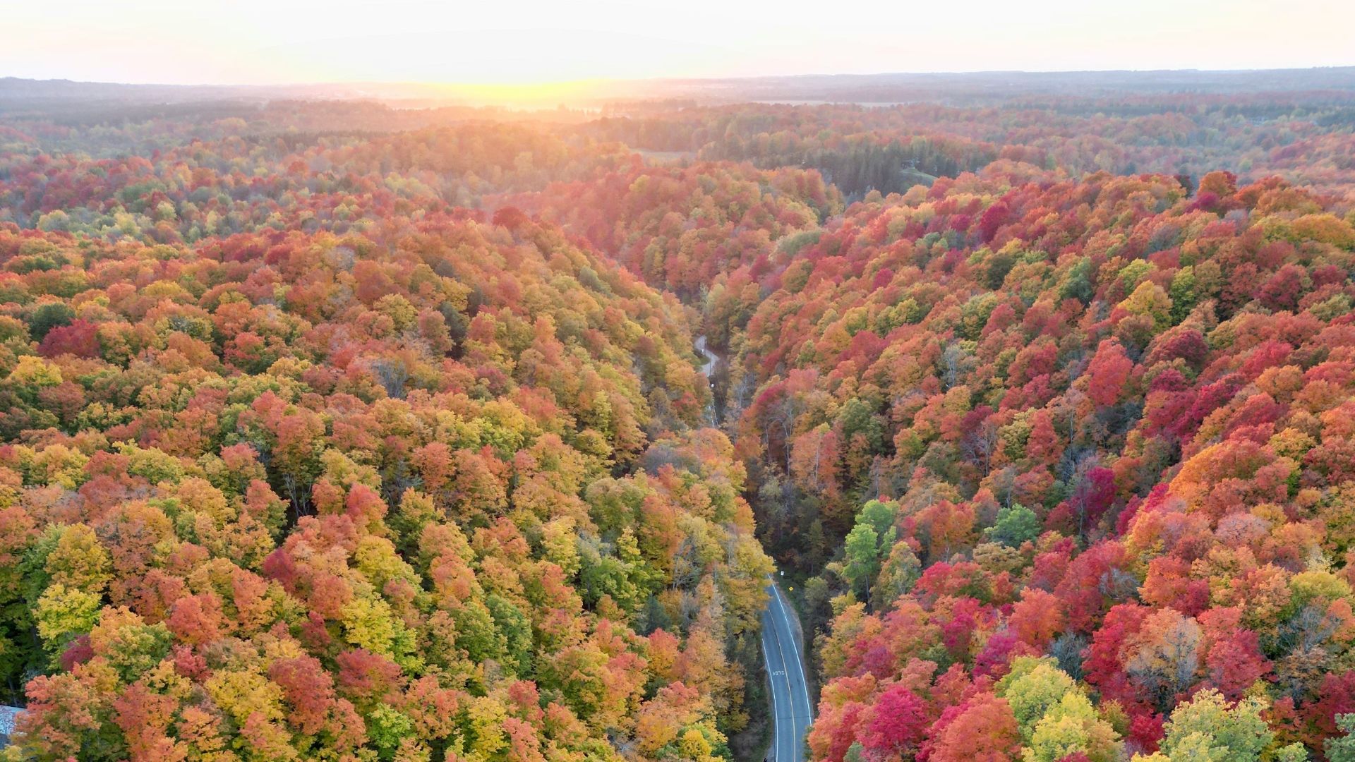 a winding road through a forest