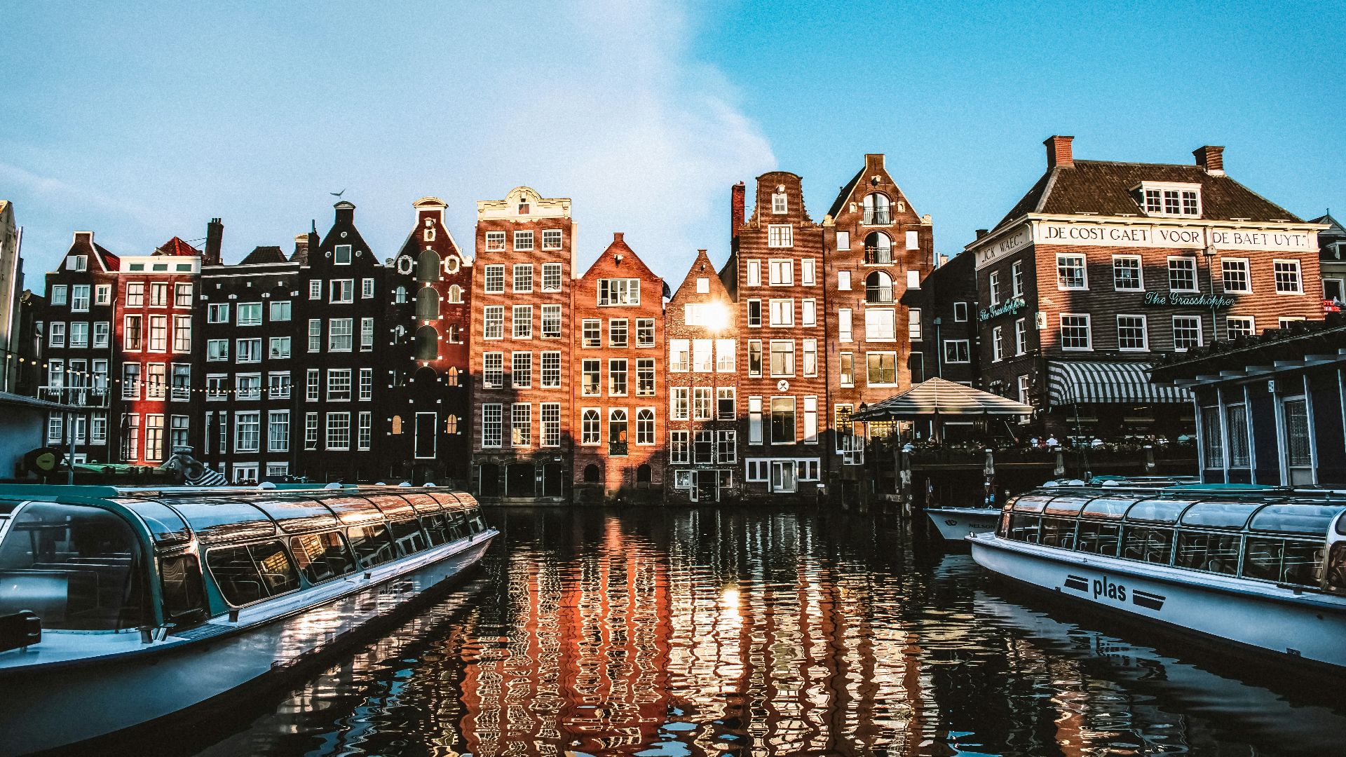 houses near body of water