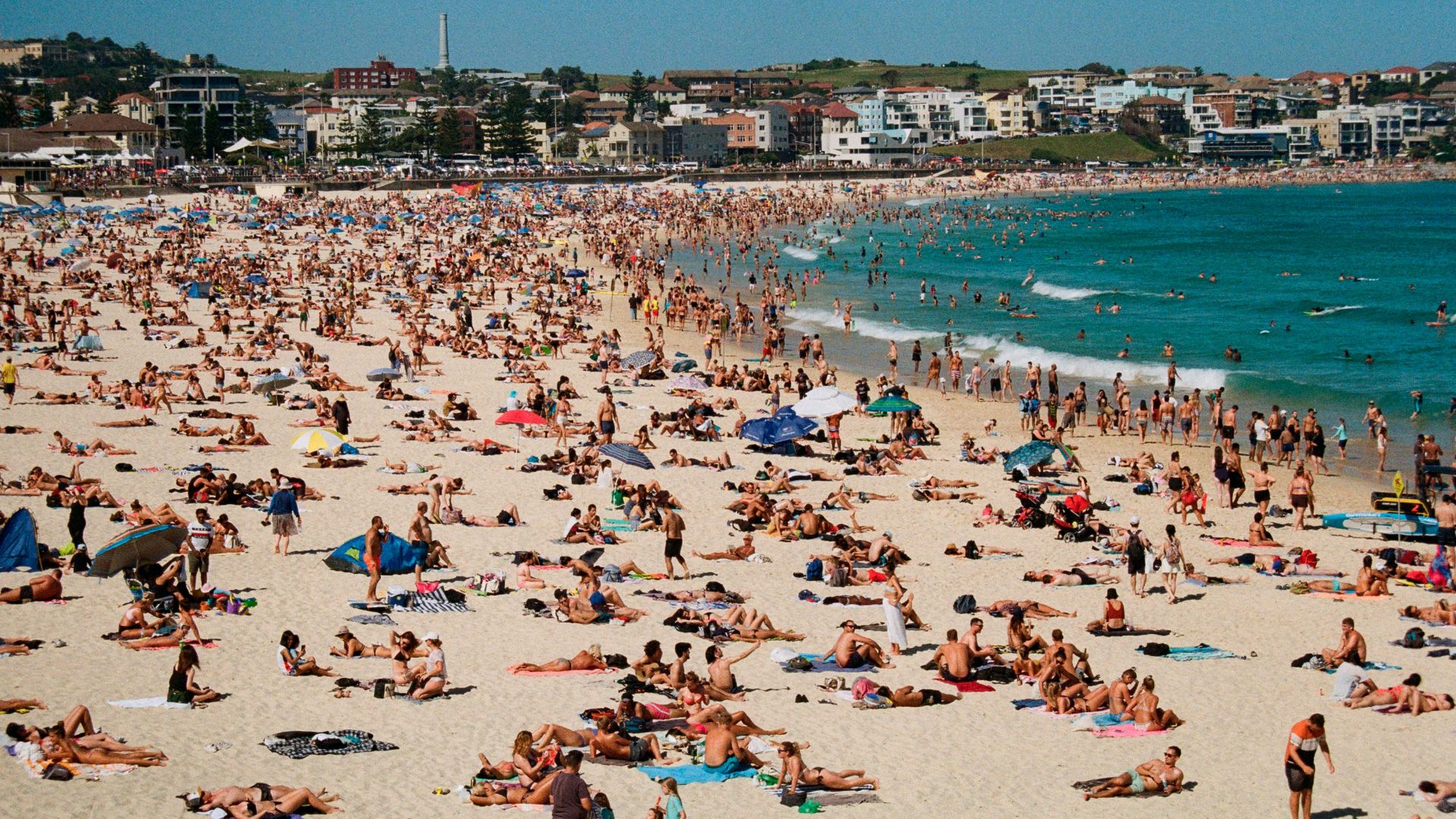 crowd of people on seashore during daytime