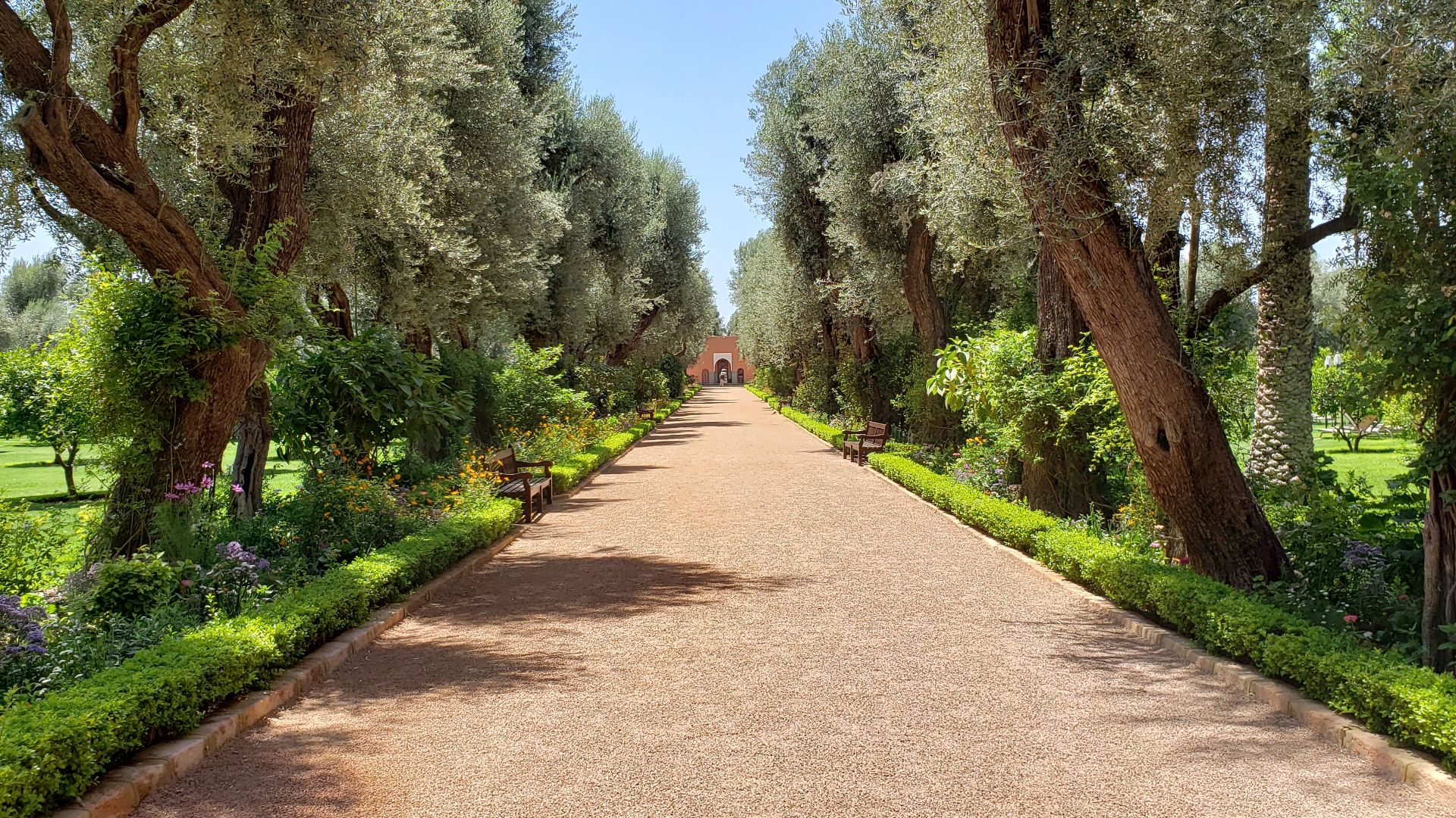 File:La Mamounia garden.jpg