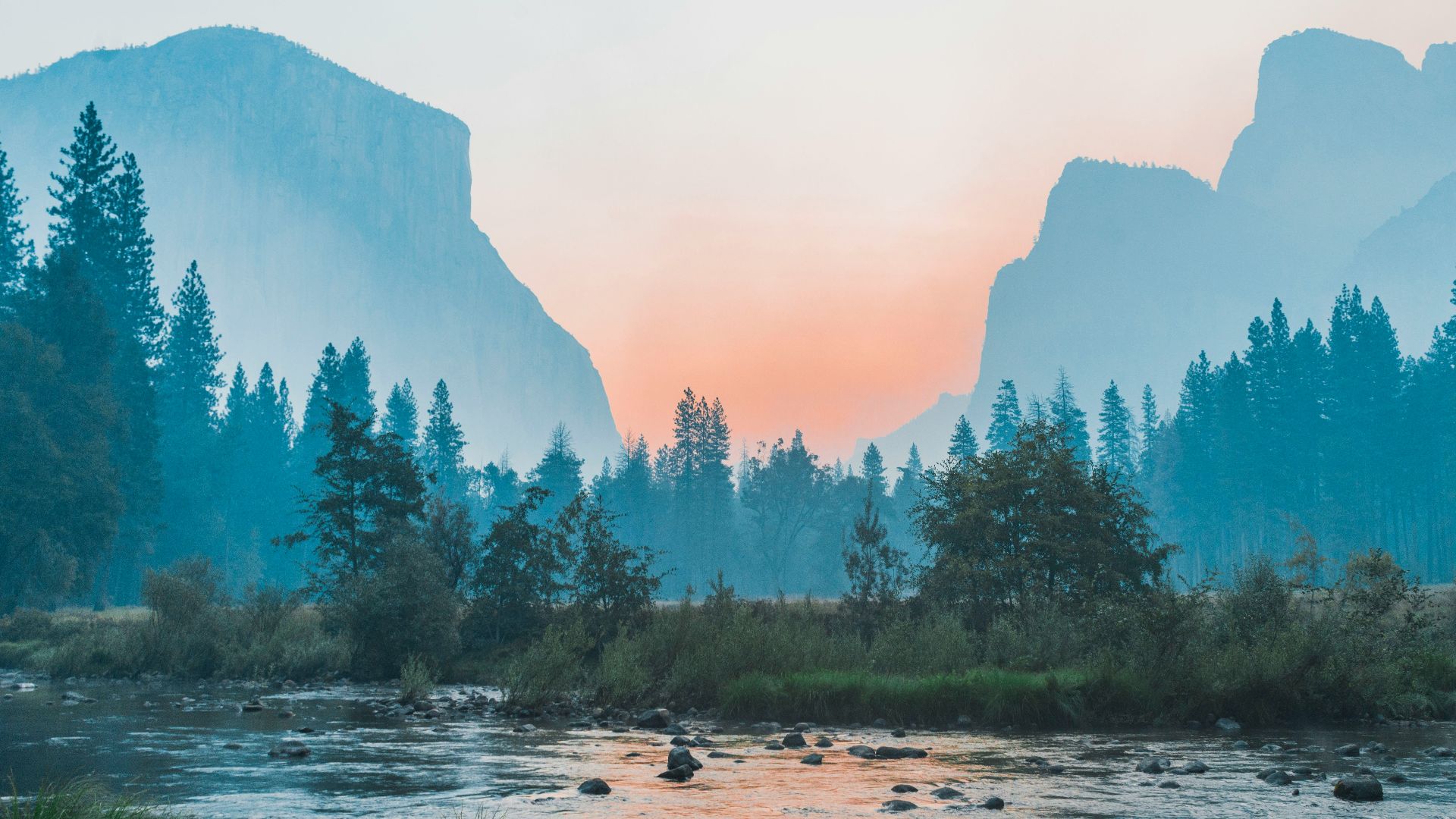body of water surrounded by trees