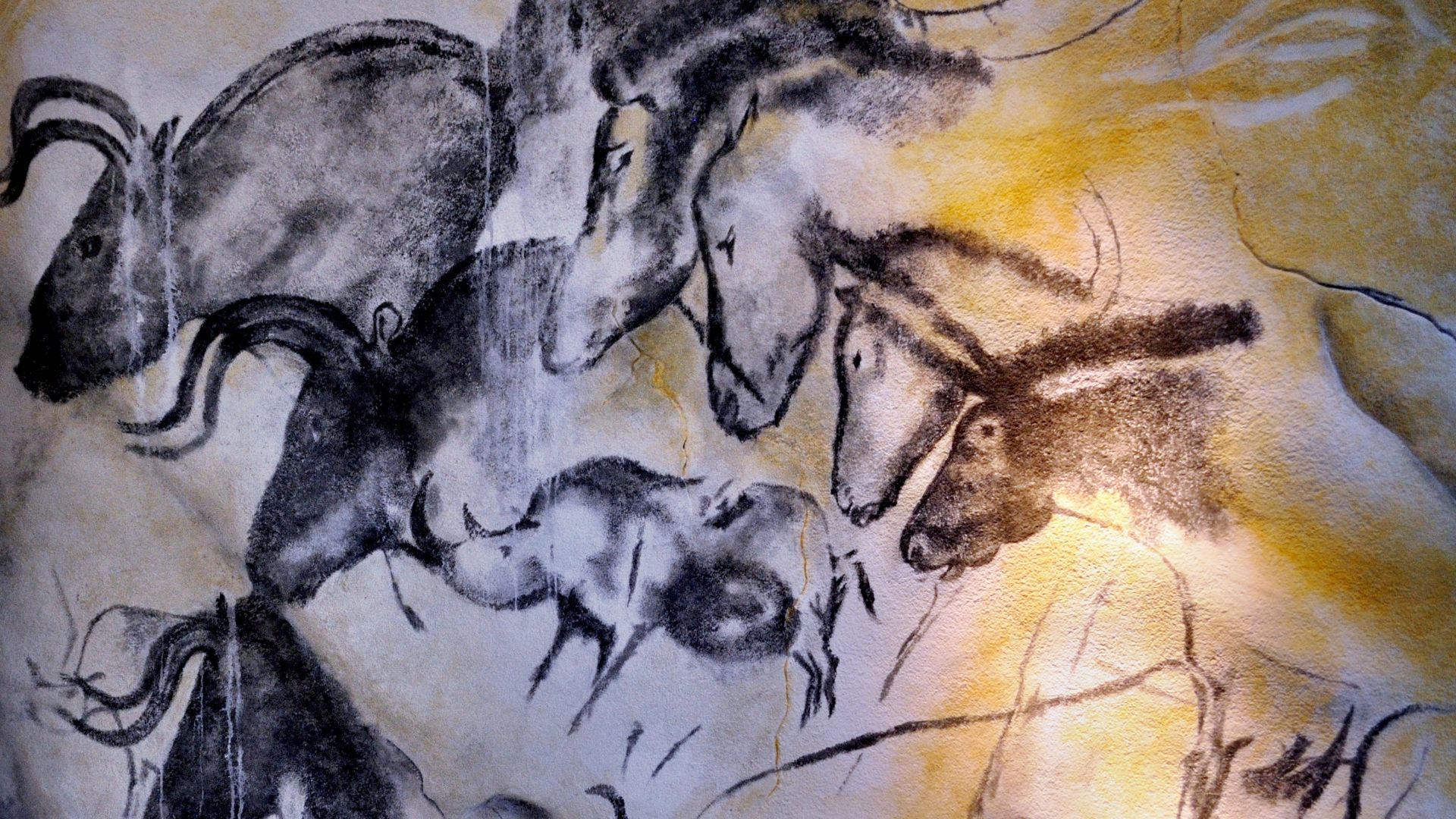 File:Chauvet´s cave horses.jpg