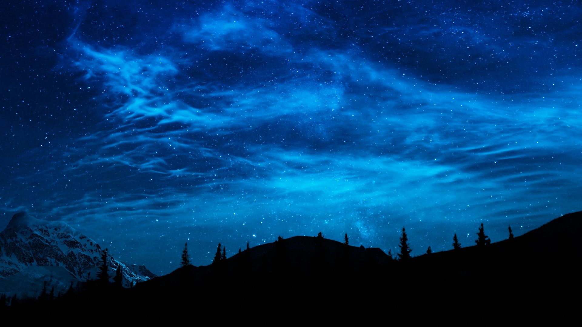 silhouette of trees under blue sky