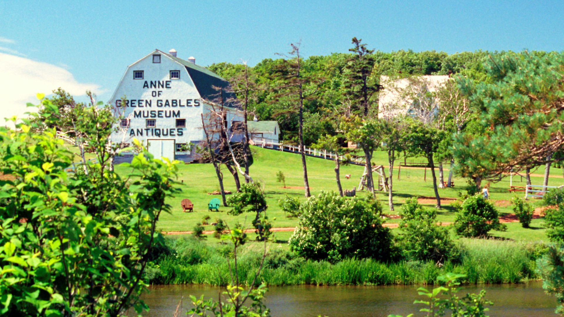 green trees near body of water during daytime