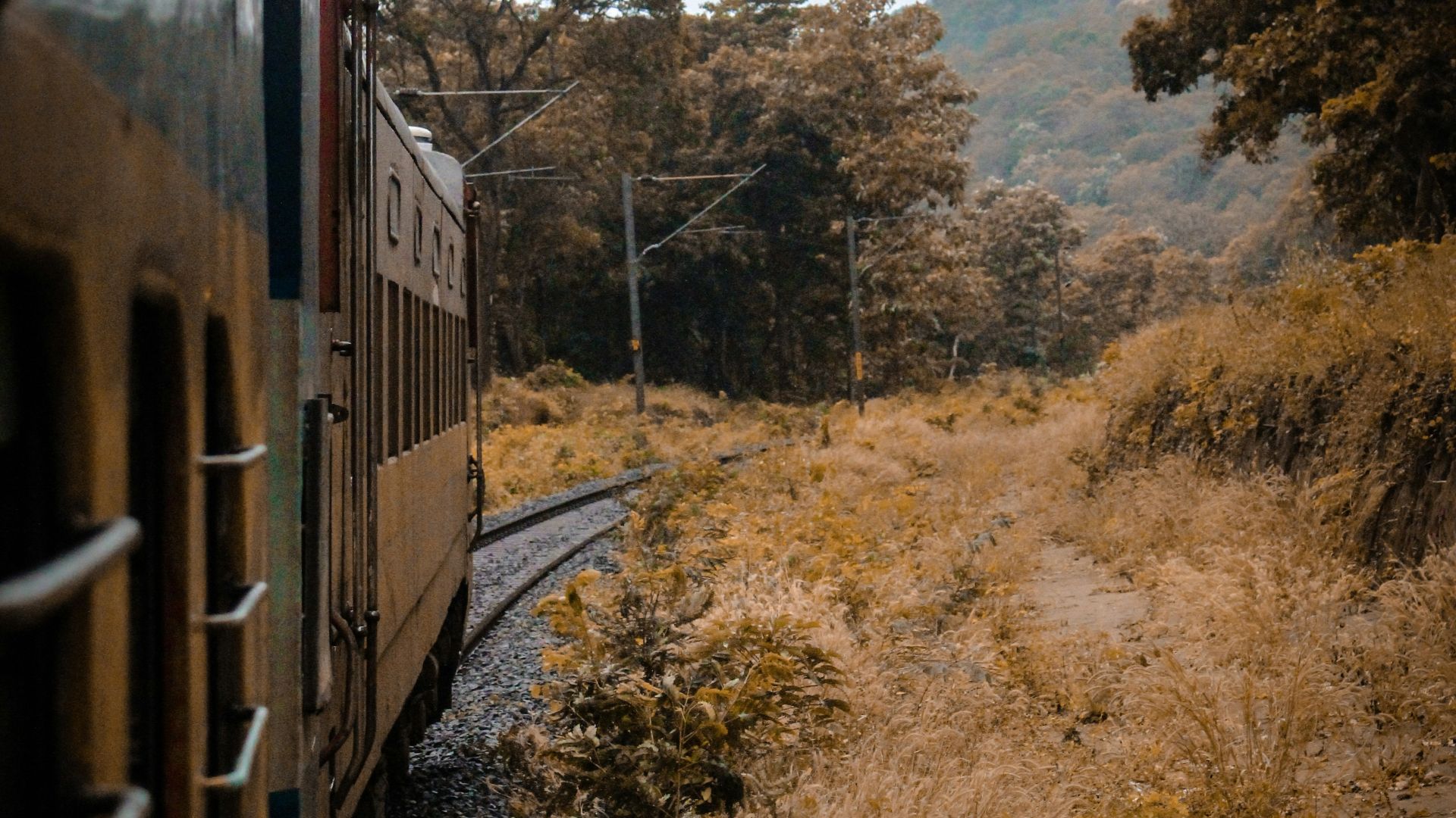 brown train beside trees