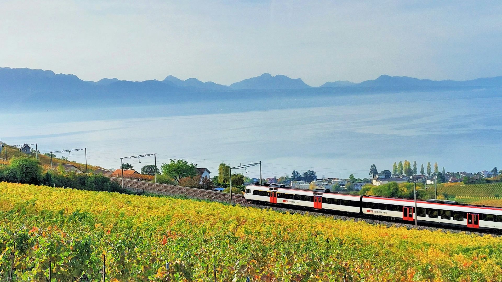 a train traveling through a lush green countryside