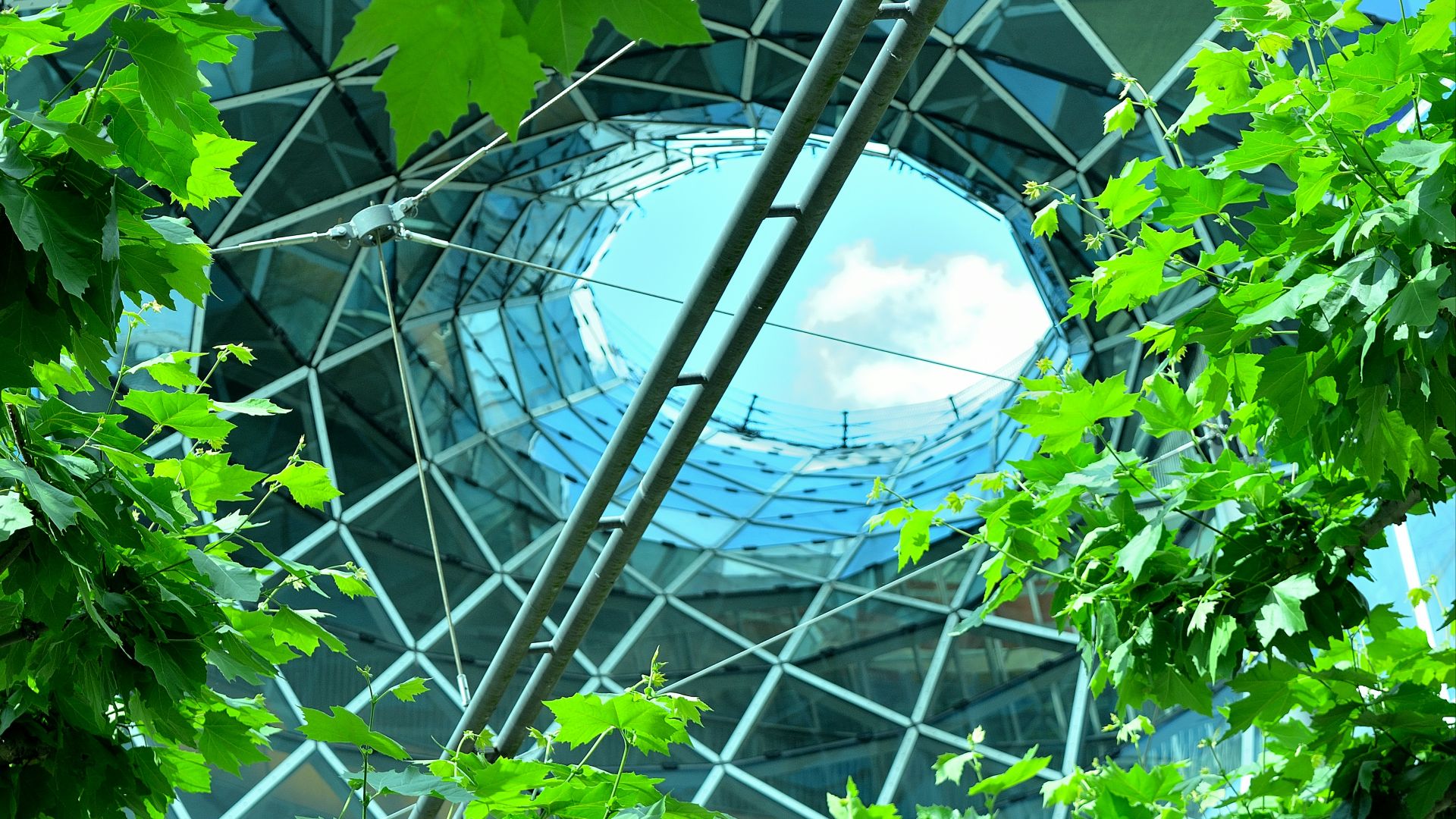 a view of a building through the leaves of a tree