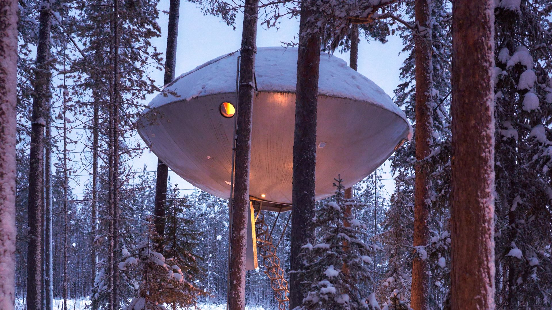 File:The UFO, Treehotel in Harads, Sweden - Jan 3, 2019.jpg