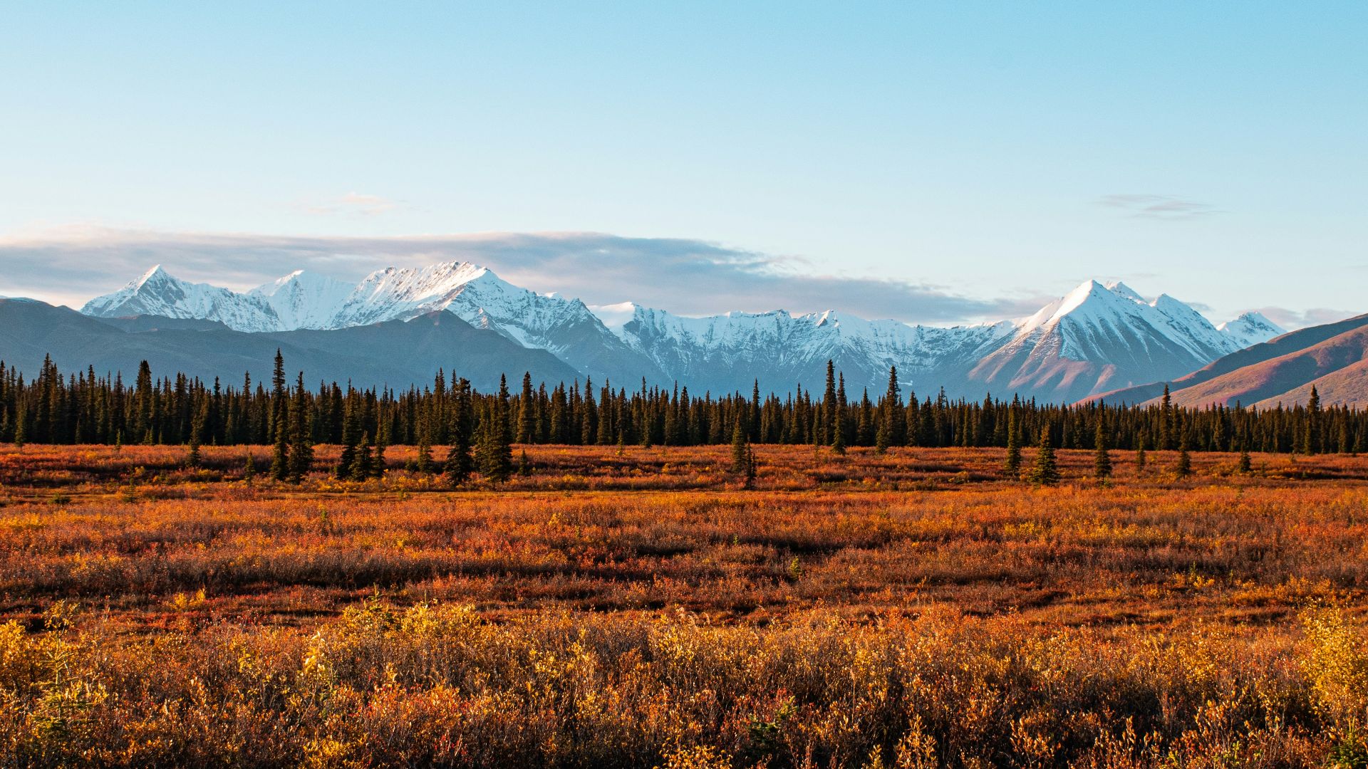 brown grass field near mountain under blue sky during daytime