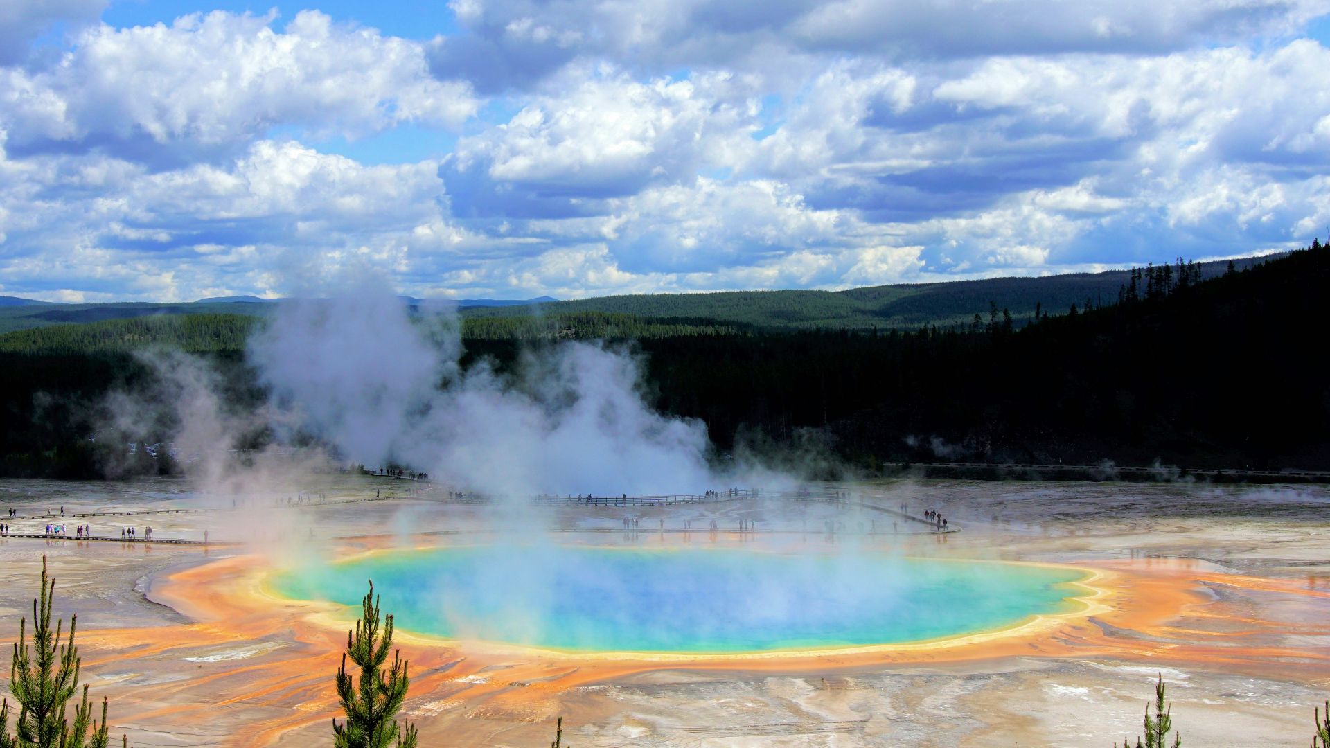 green trees under blue sky and white clouds during daytime