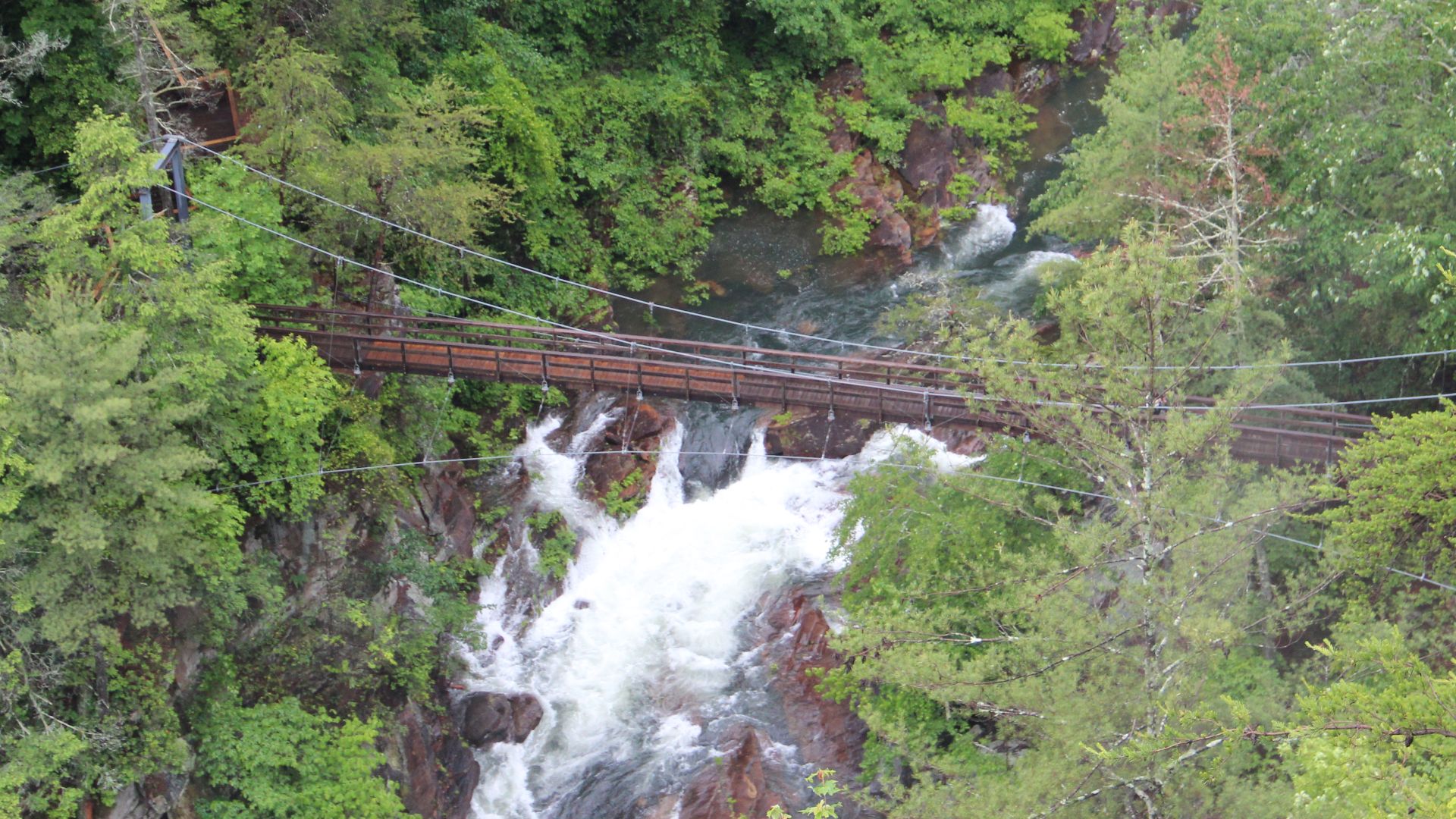 File:Tallulah Gorge swinging bridge, May 2017.jpg
