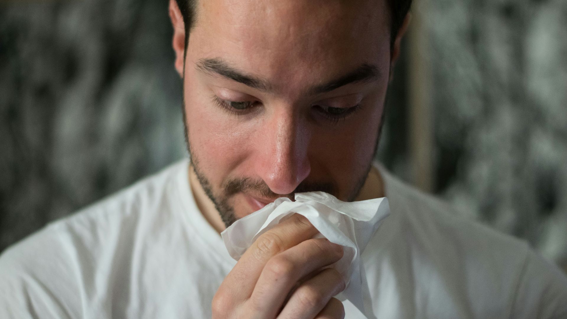 man wiping mouse with tissue paper