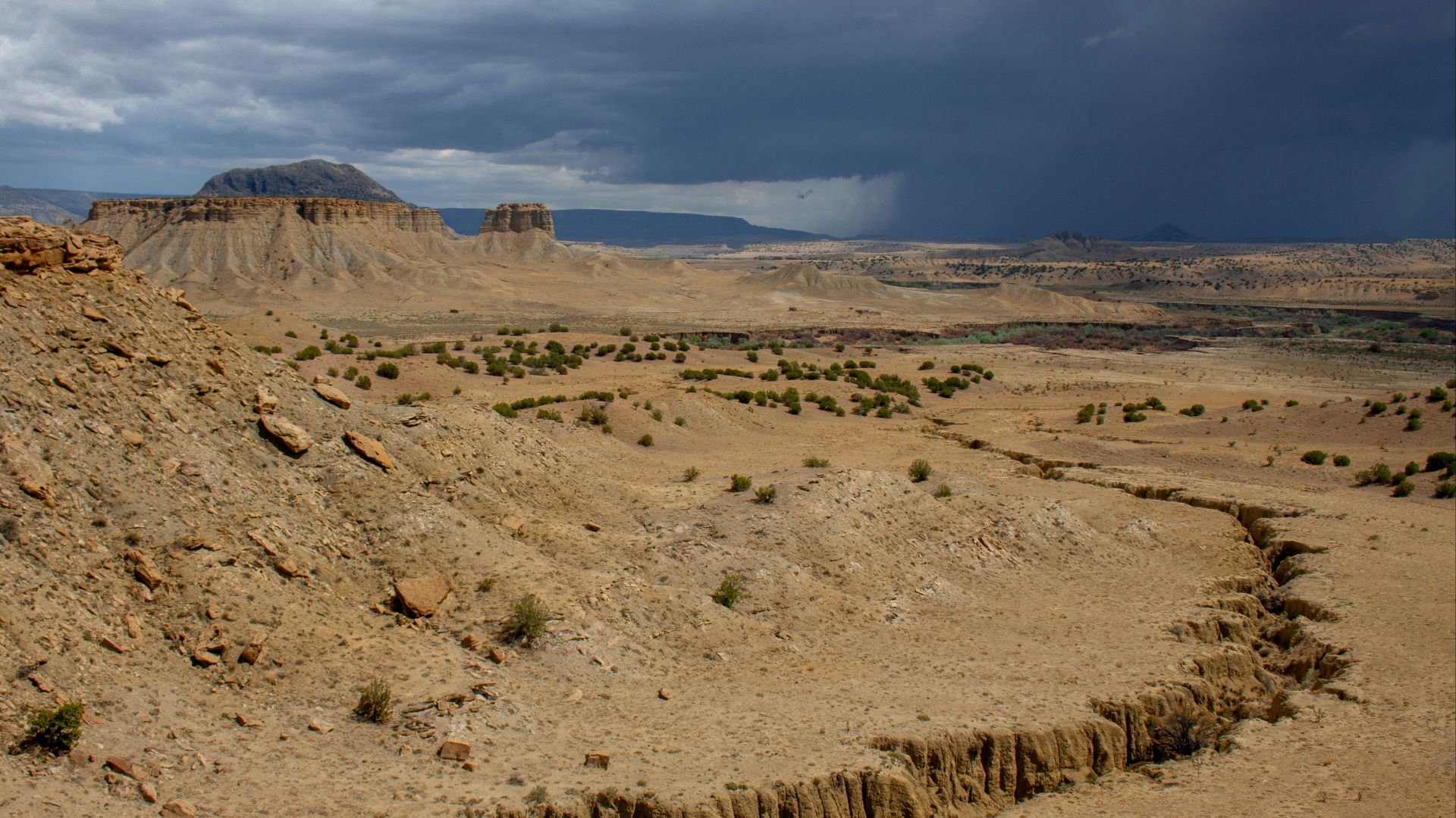 brown field under blue sky during daytime