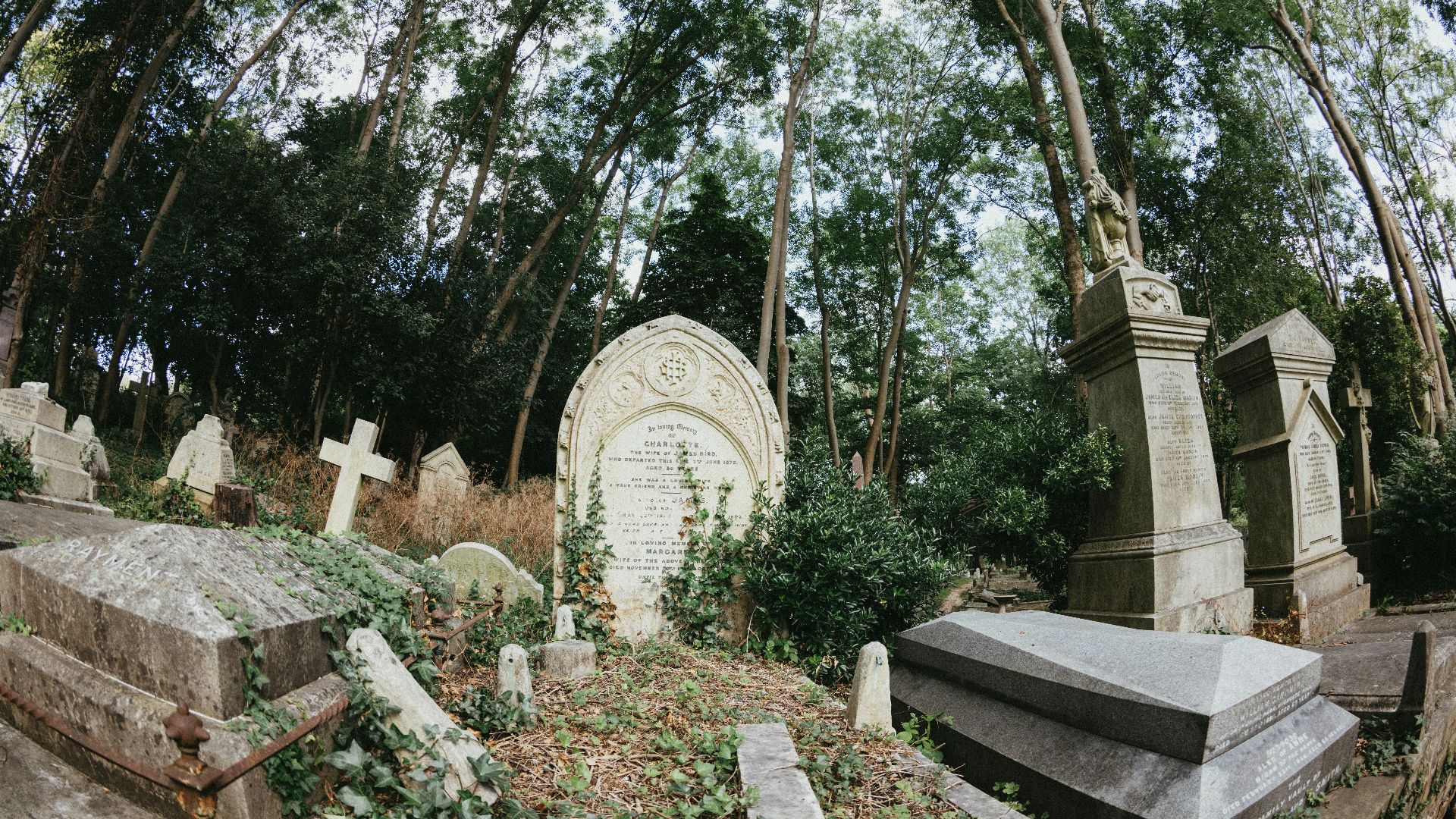 A cemetery with a bunch of headstones in it