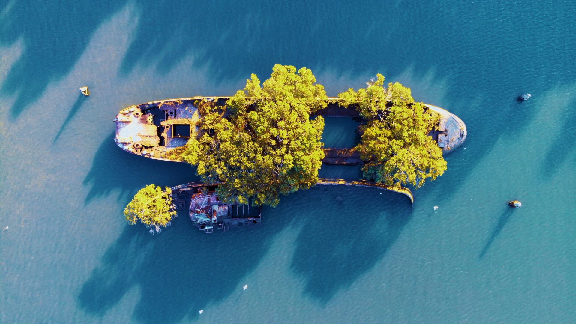 bird's eye-view photography of islet