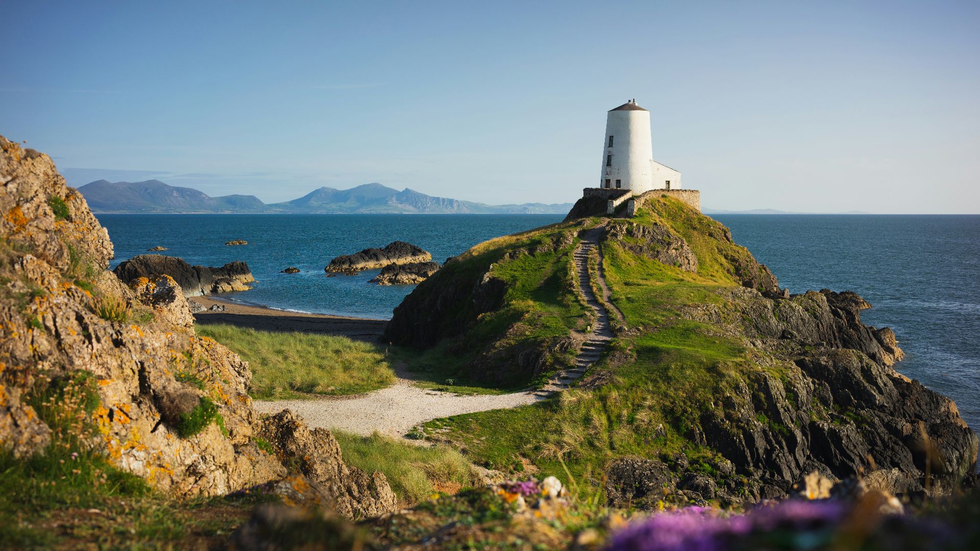 white lighthouse on green grass field near body of water during daytime