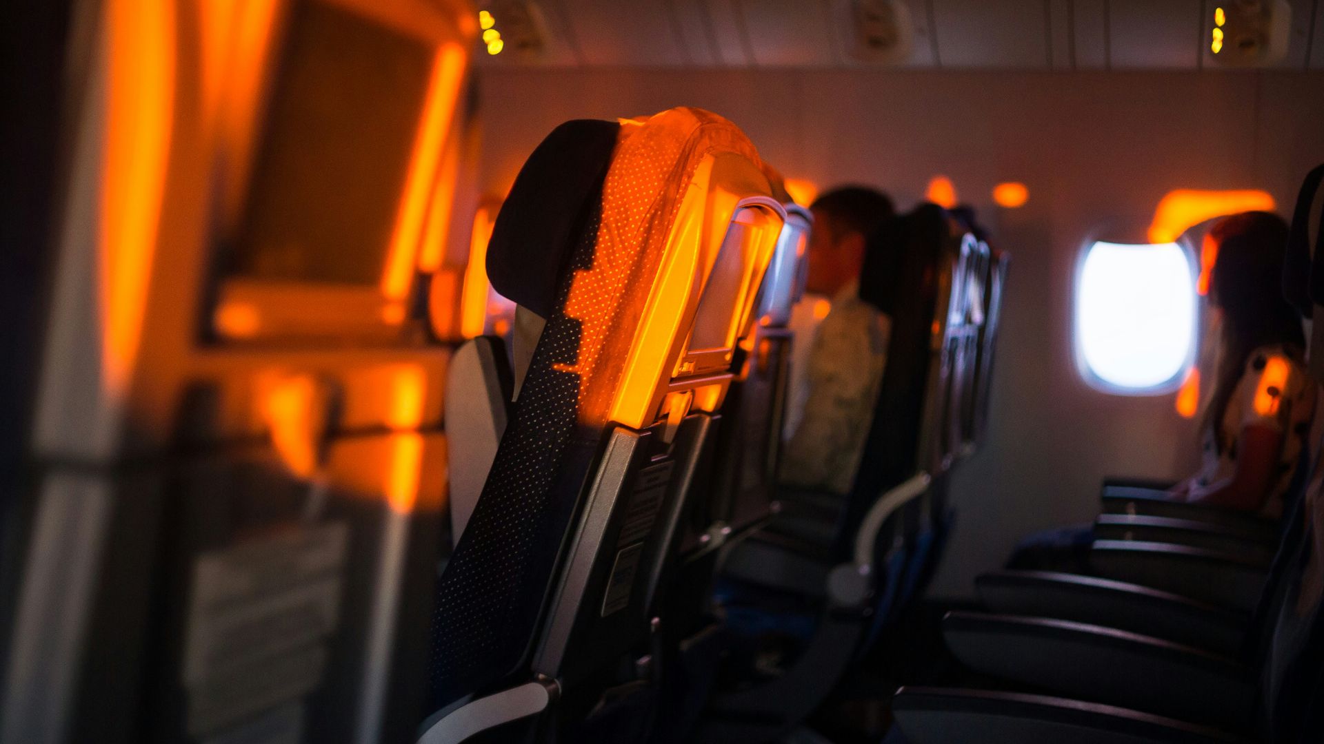 black and yellow bus seats