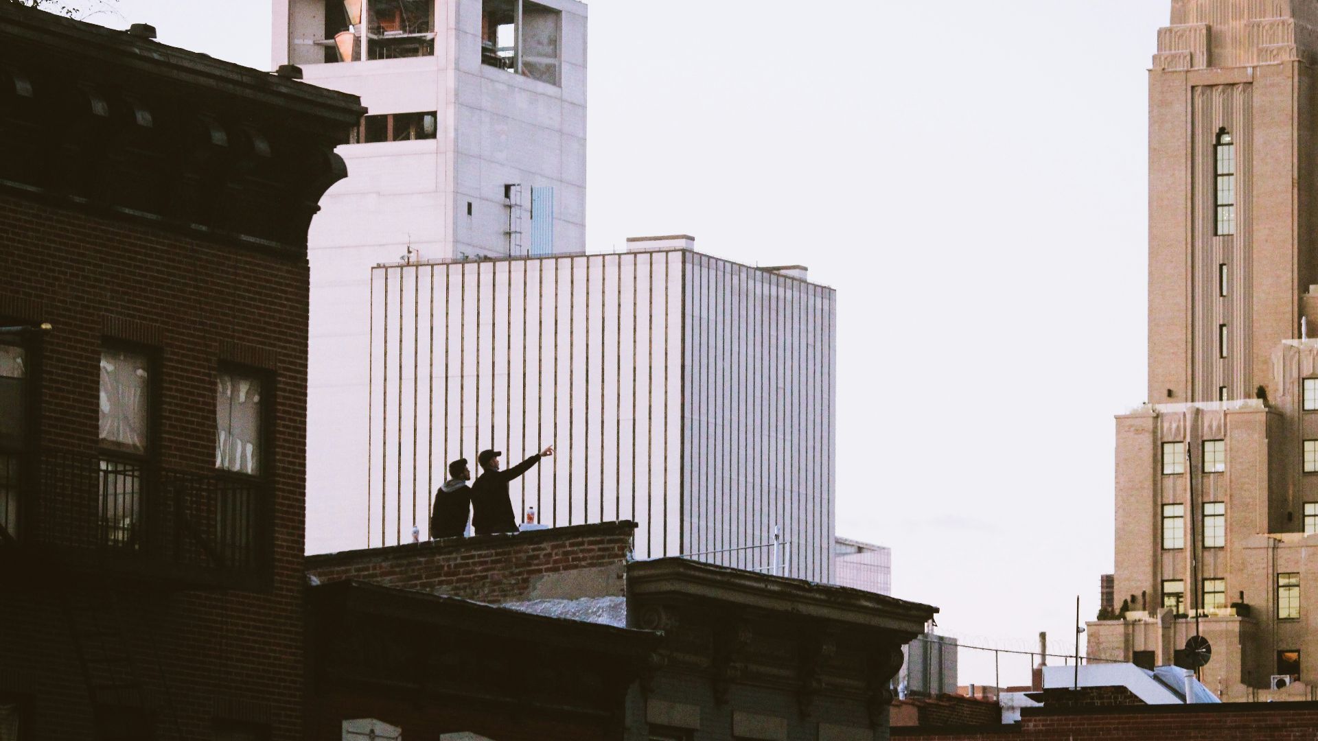 black bird on black metal bird cage
