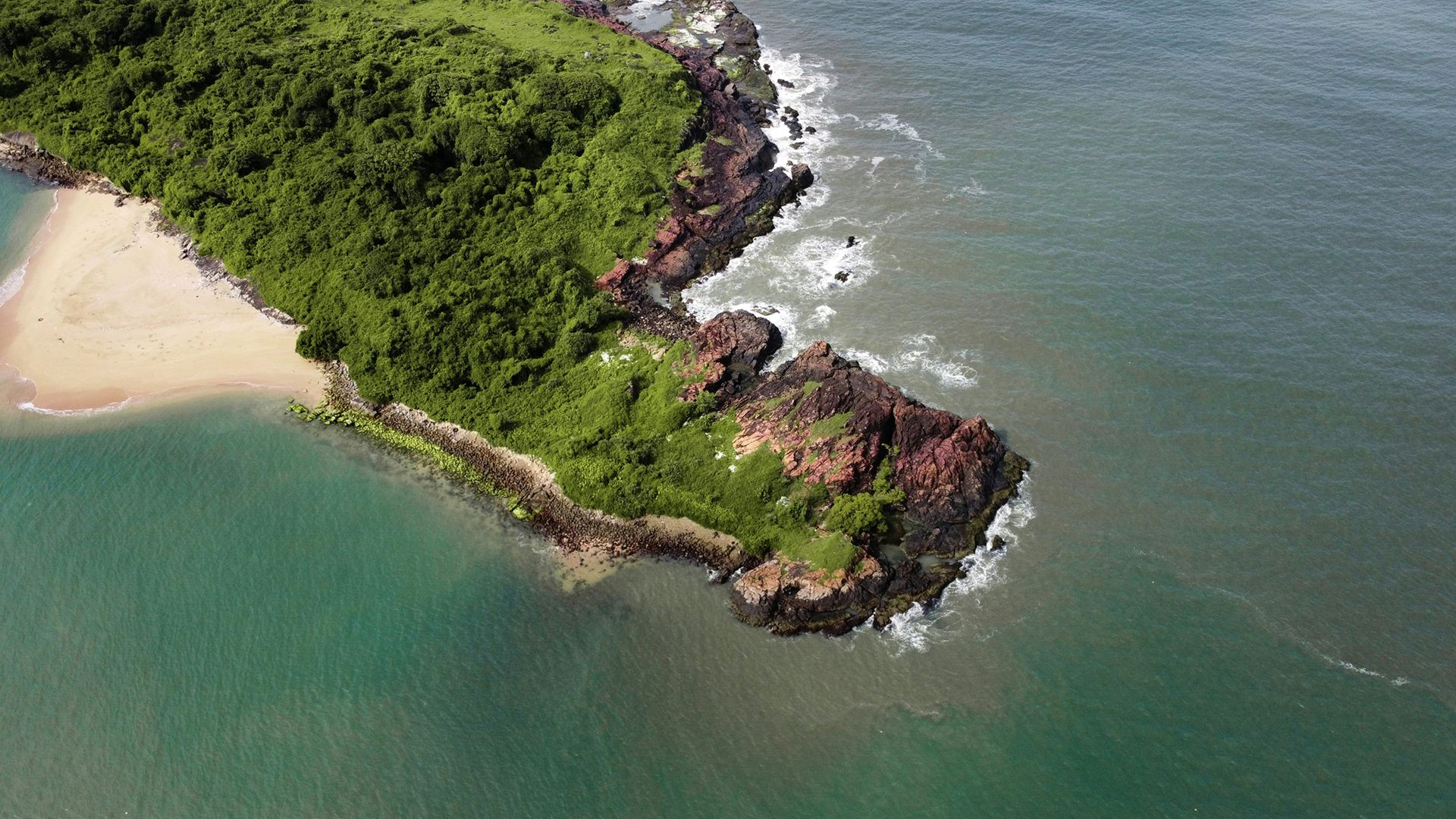 an island with trees and a beach