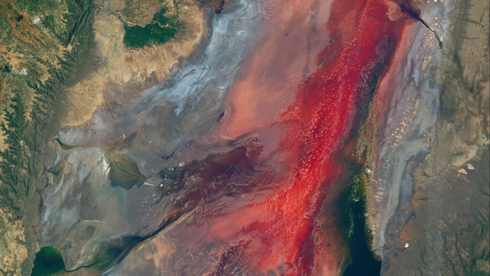File:Lake Natron (Tanzania) – 2017-03-06 (very early in rainy season) – satellite image (cropped).jpg