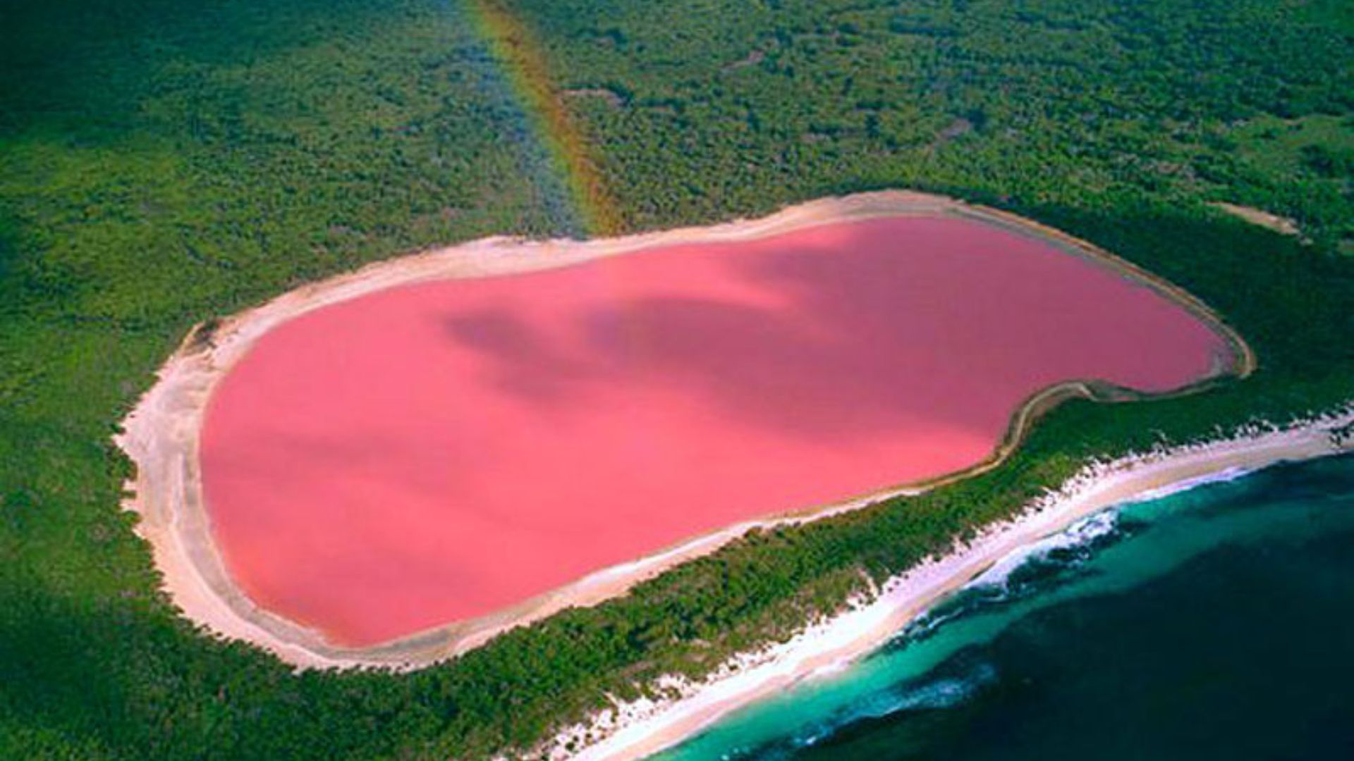 File:LIQENI HILLIER - ROZE.jpg