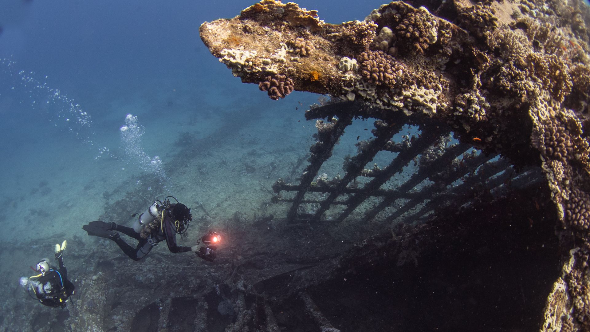File:Ship wreck Carnatic 2017-04-22 Egypt-7947.jpg